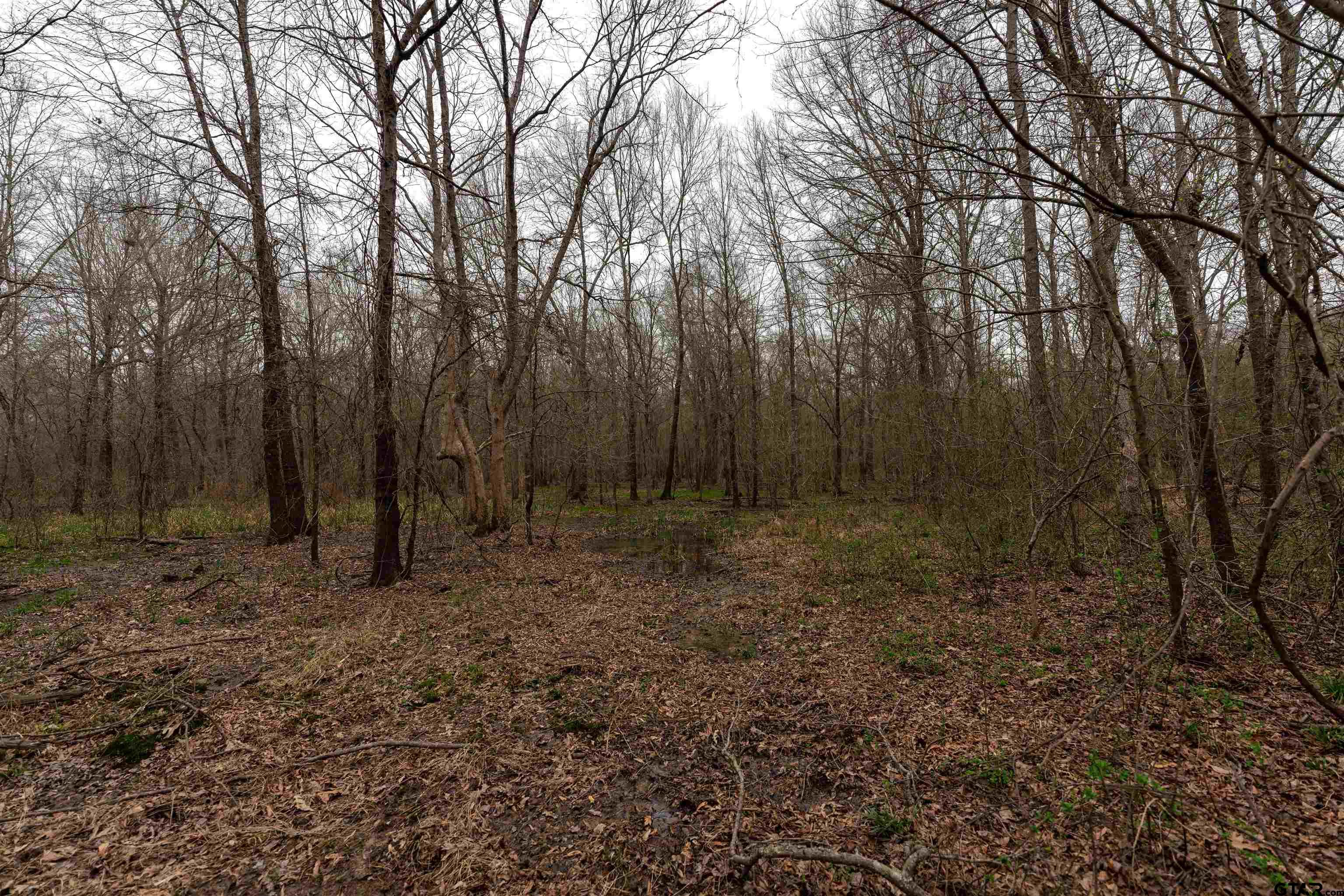 Tbd Central Road Property Photo 15