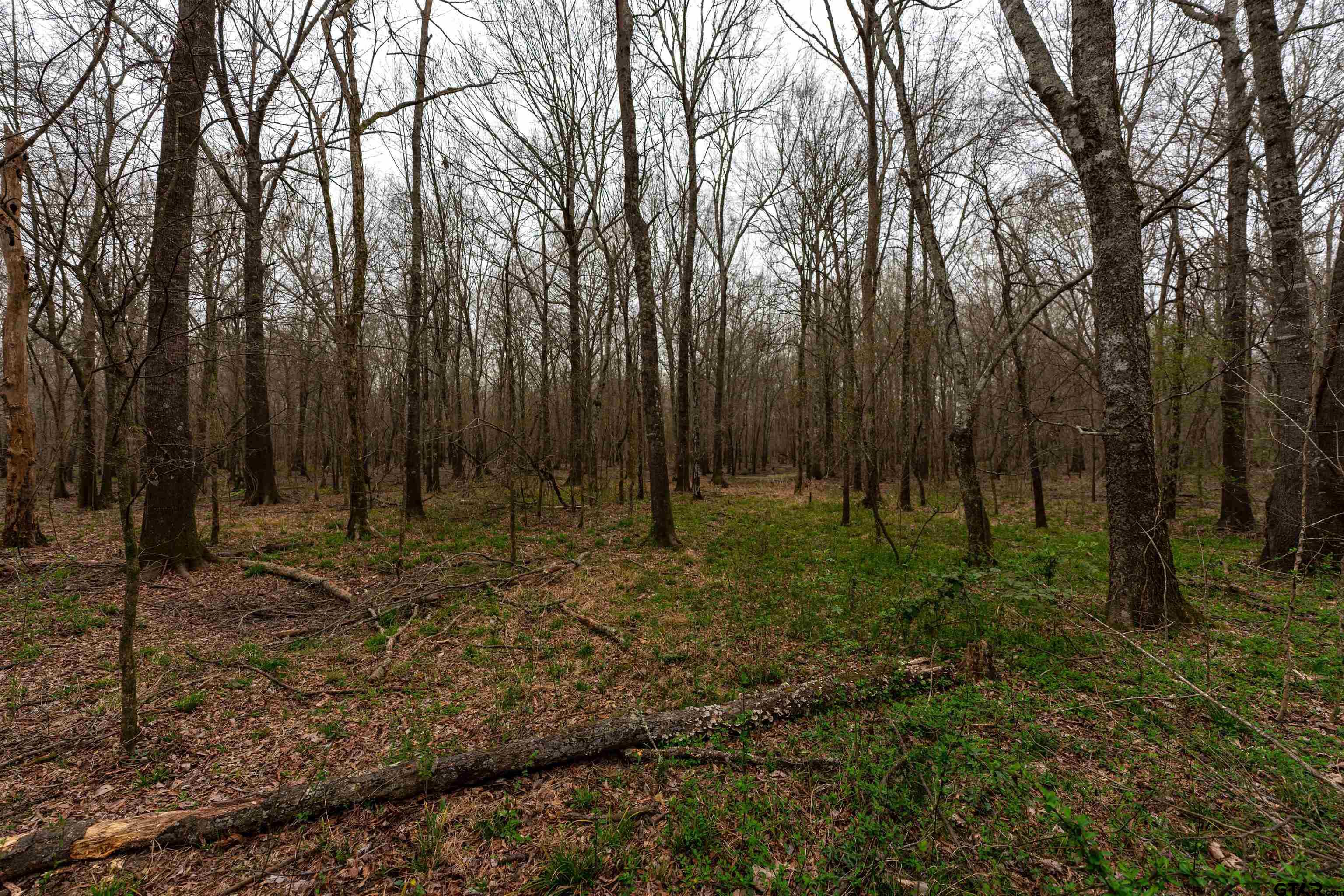 Tbd Central Road Property Photo 16