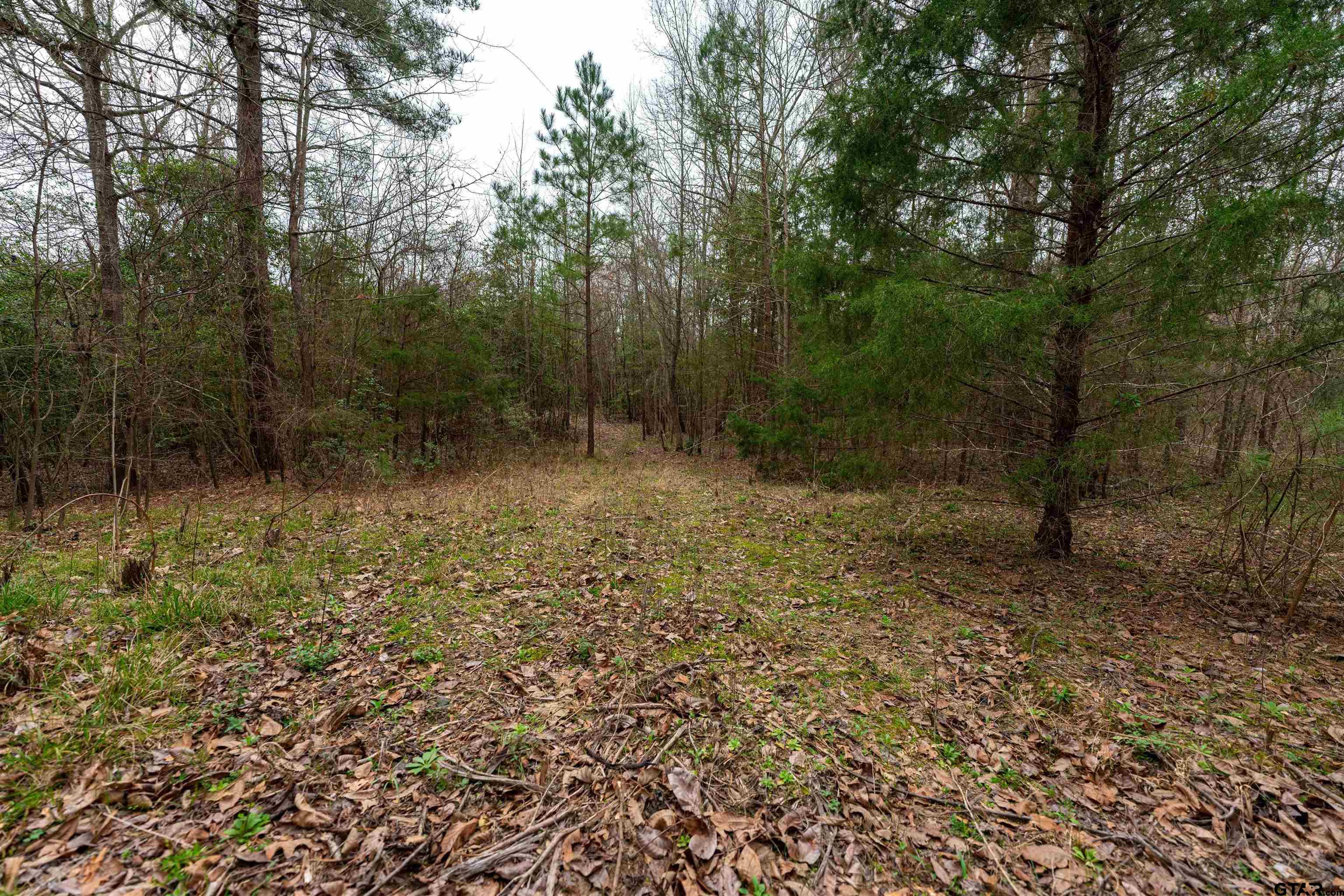 Tbd Central Road Property Photo 17