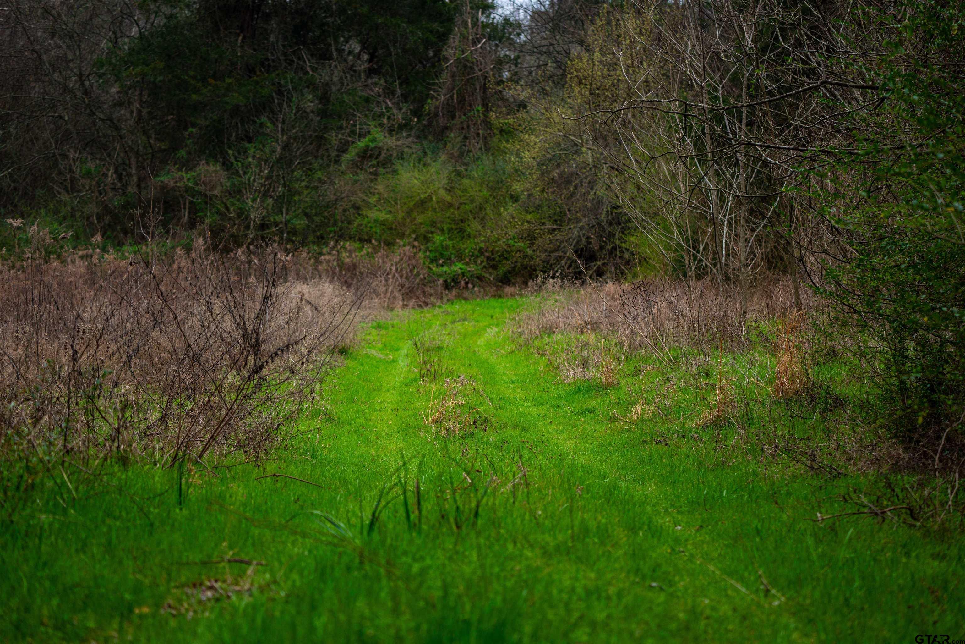 Tbd Central Road Property Photo 20