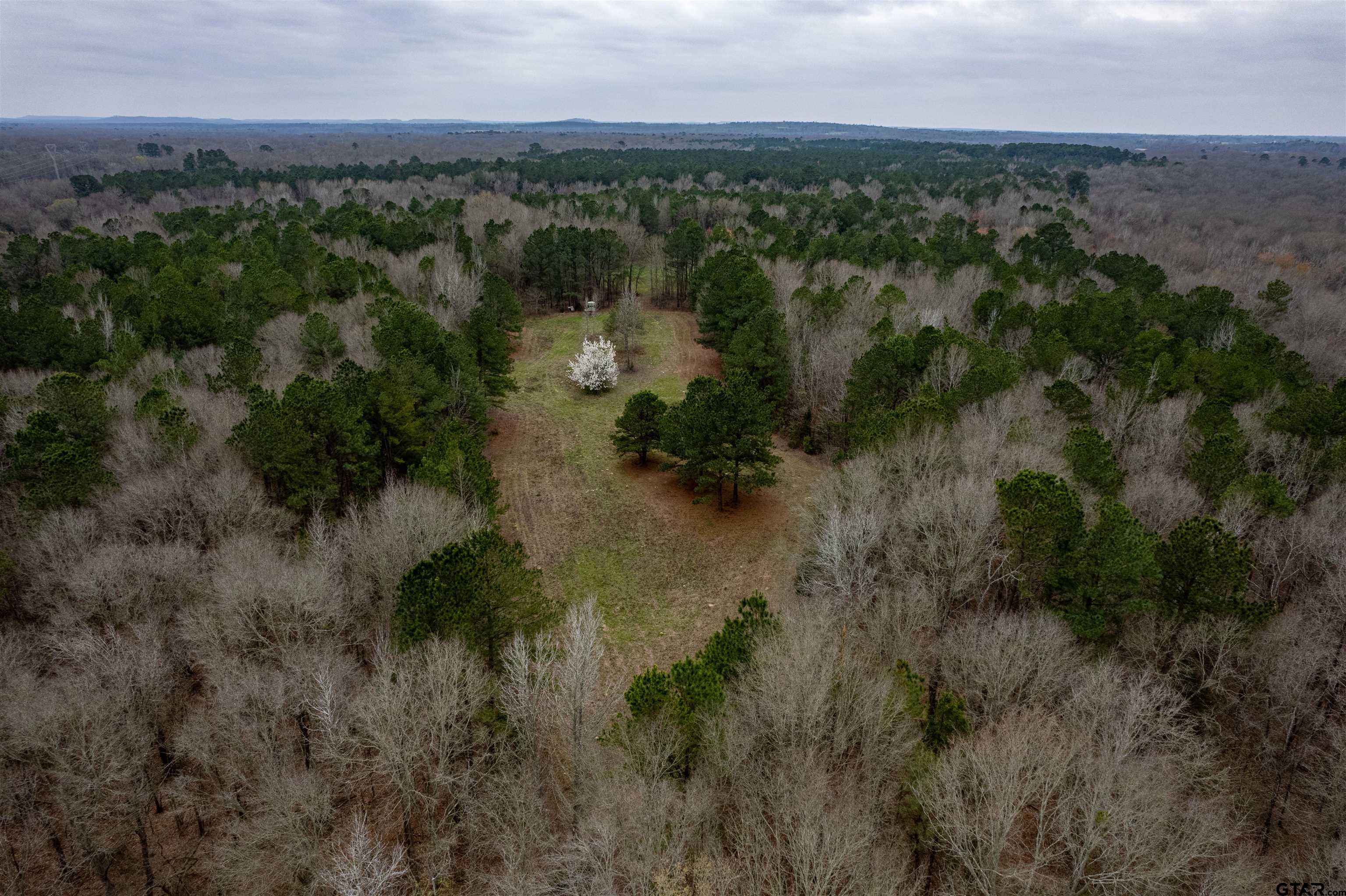 Tbd Central Road Property Photo 21