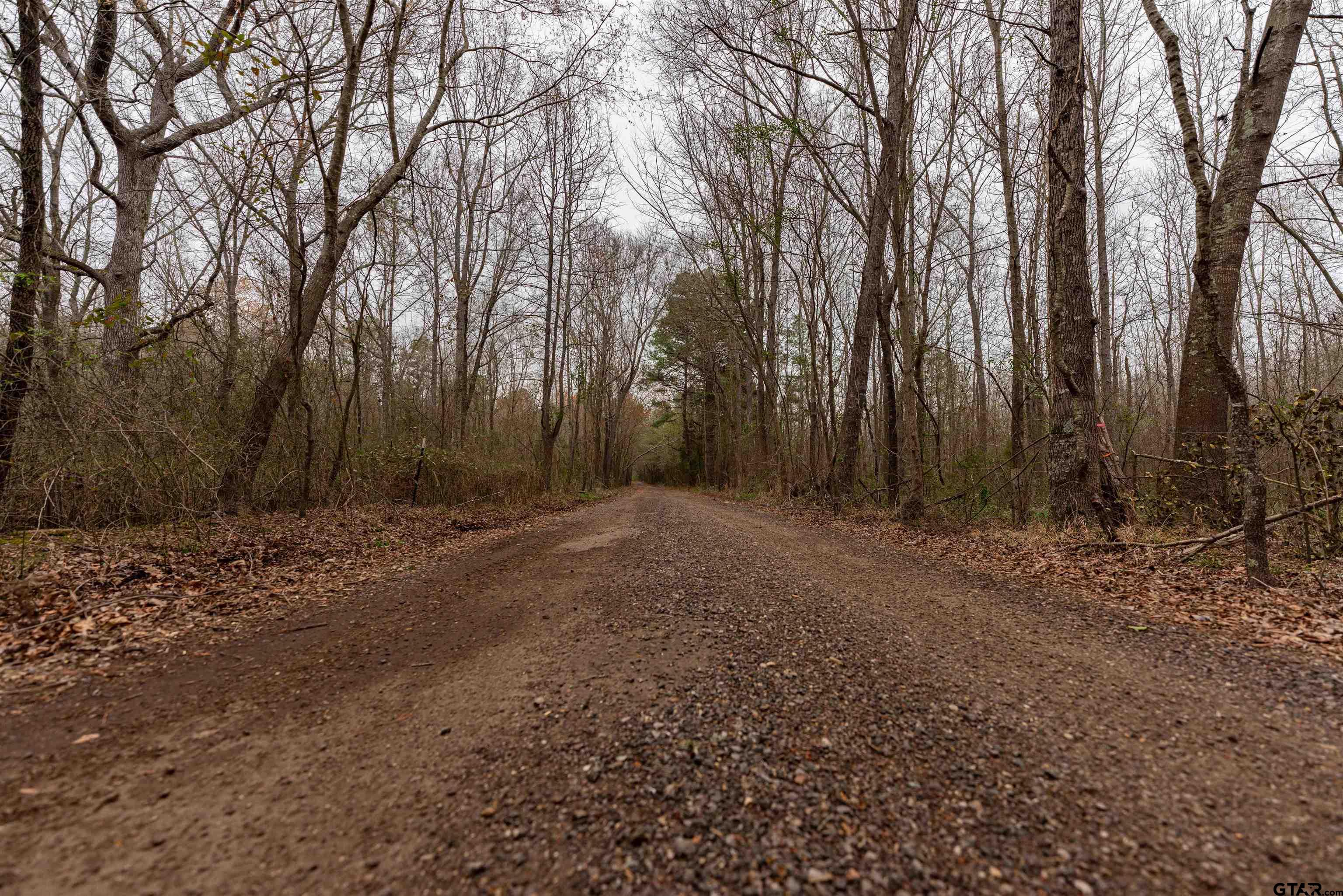 Tbd Central Road Property Photo 22