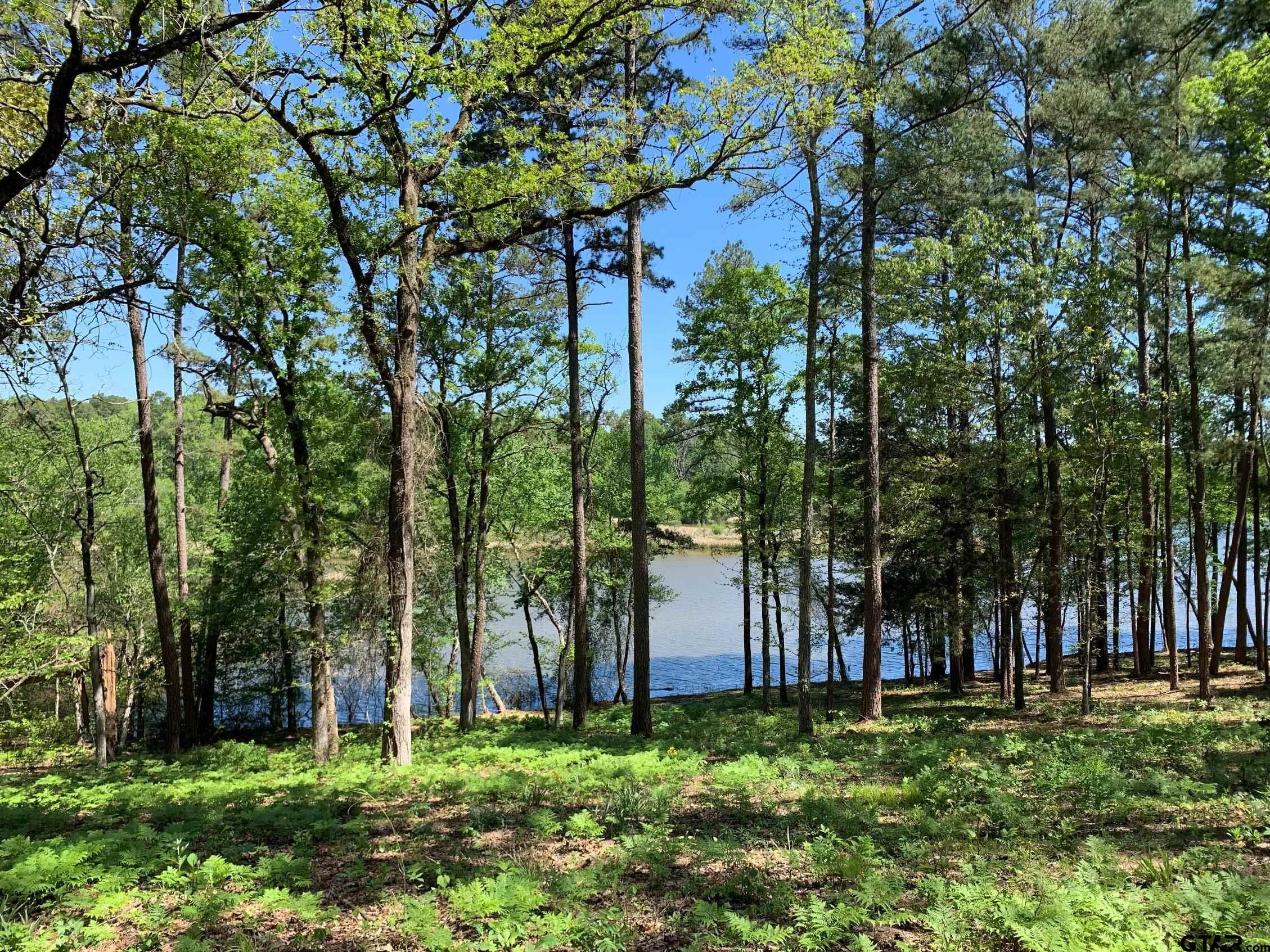 Tbd Fm 3506 Property Photo 4