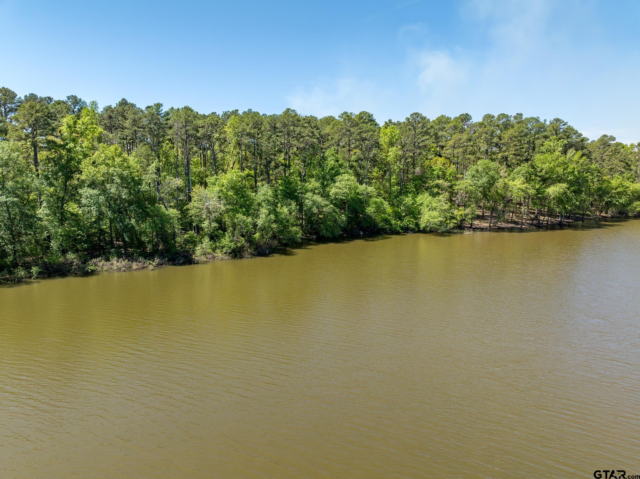 Tbd Fm 3506 Property Photo 12