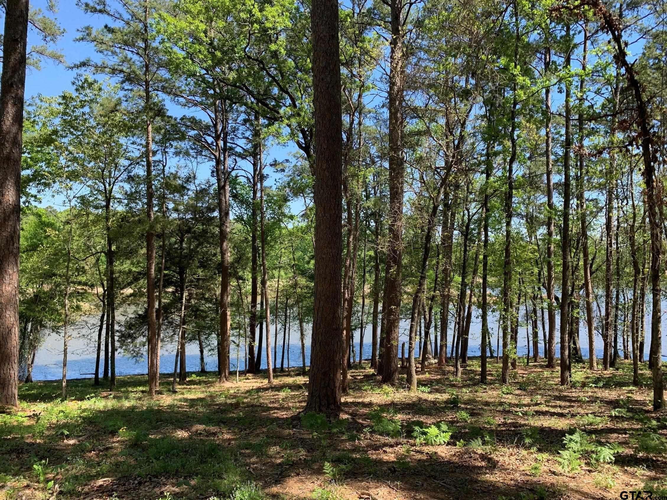 Tbd Fm 3506 Property Photo 17