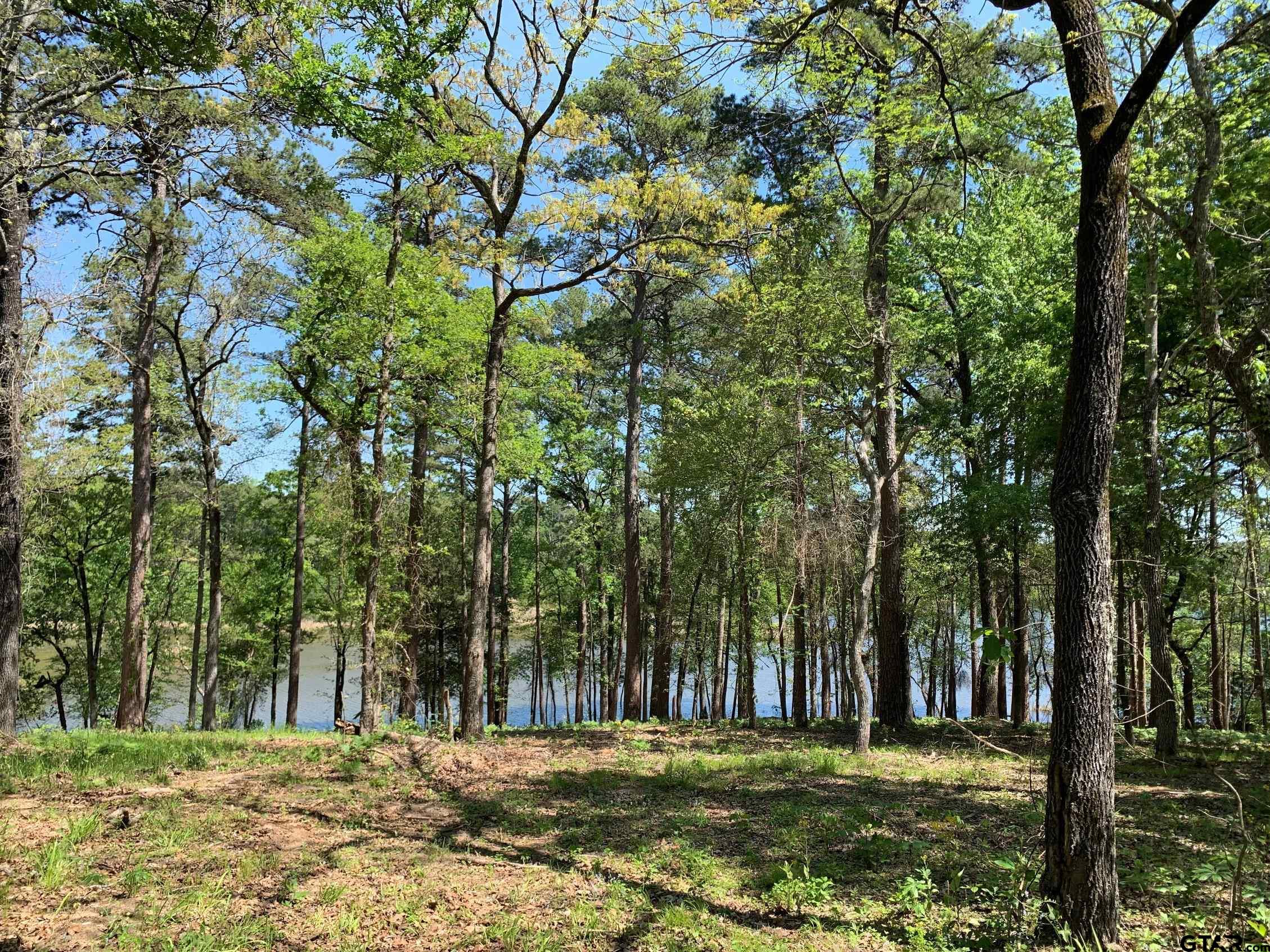 Tbd Fm 3506 Property Photo 18