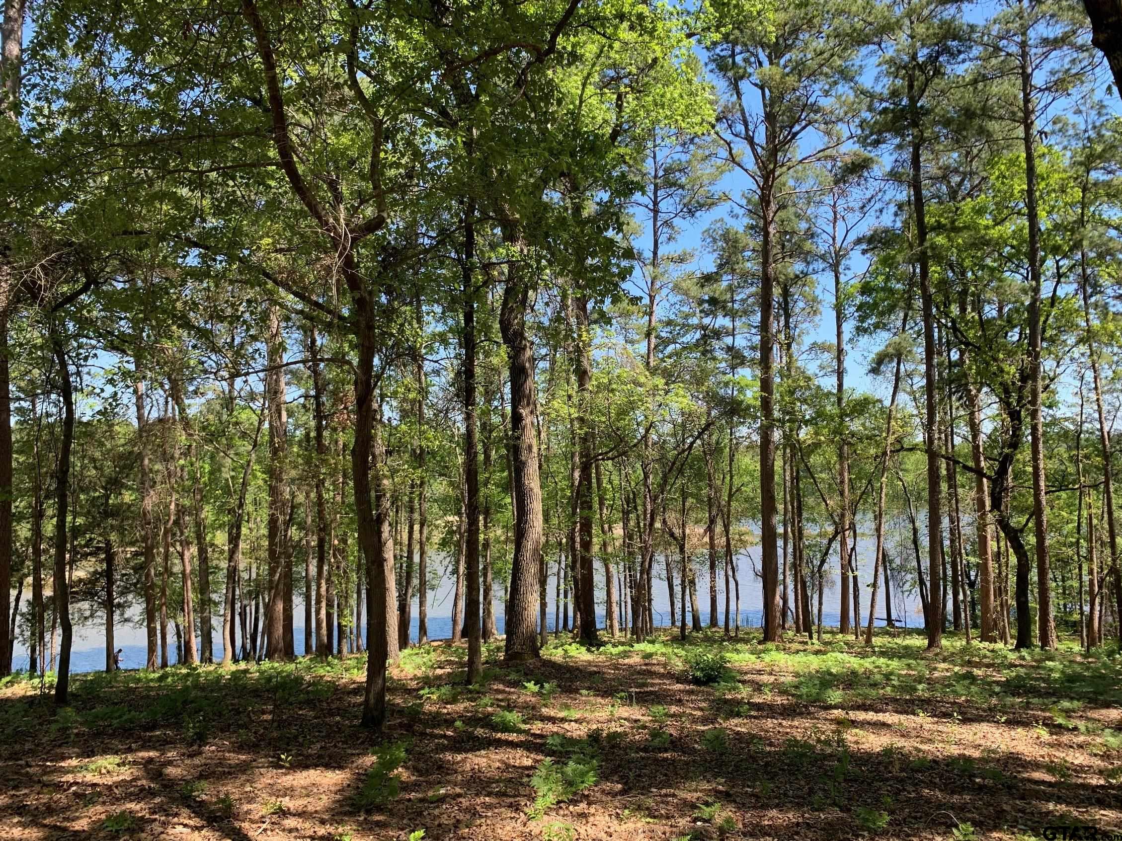 Tbd Fm 3506 Property Photo 19
