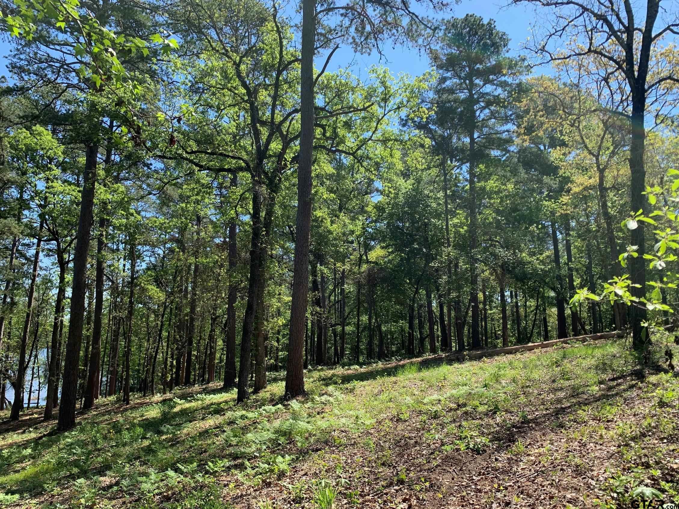 Tbd Fm 3506 Property Photo 22