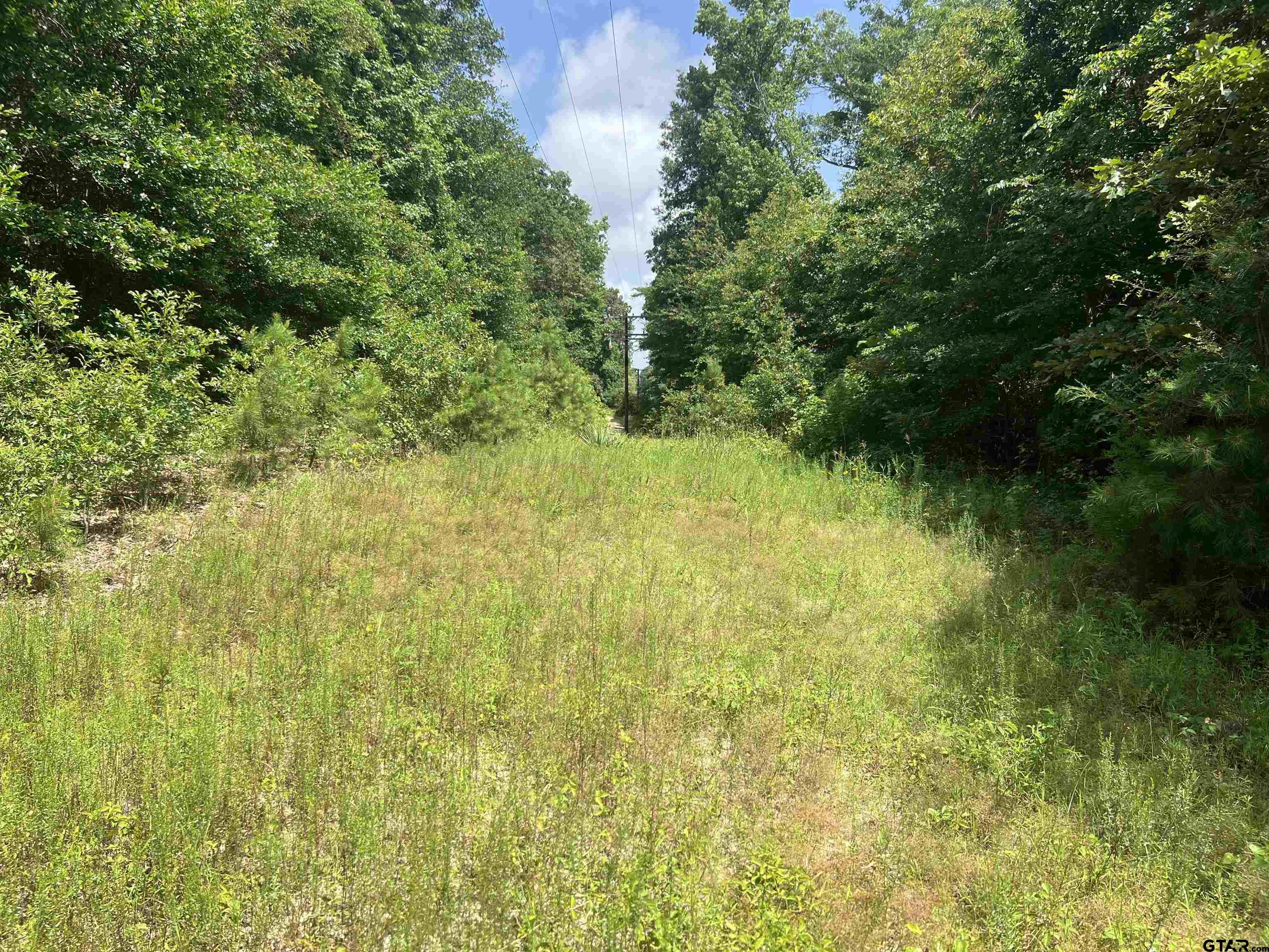 301 Bluebonnet Property Photo 1