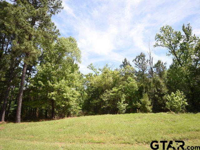 Lot 37 Acr 453 Property Photo 1