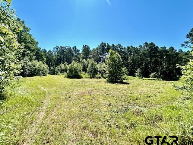 75 Acres Hwy 37 Property Photo 2