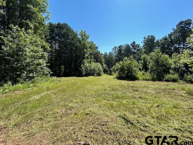 75 Acres Hwy 37 Property Photo 3