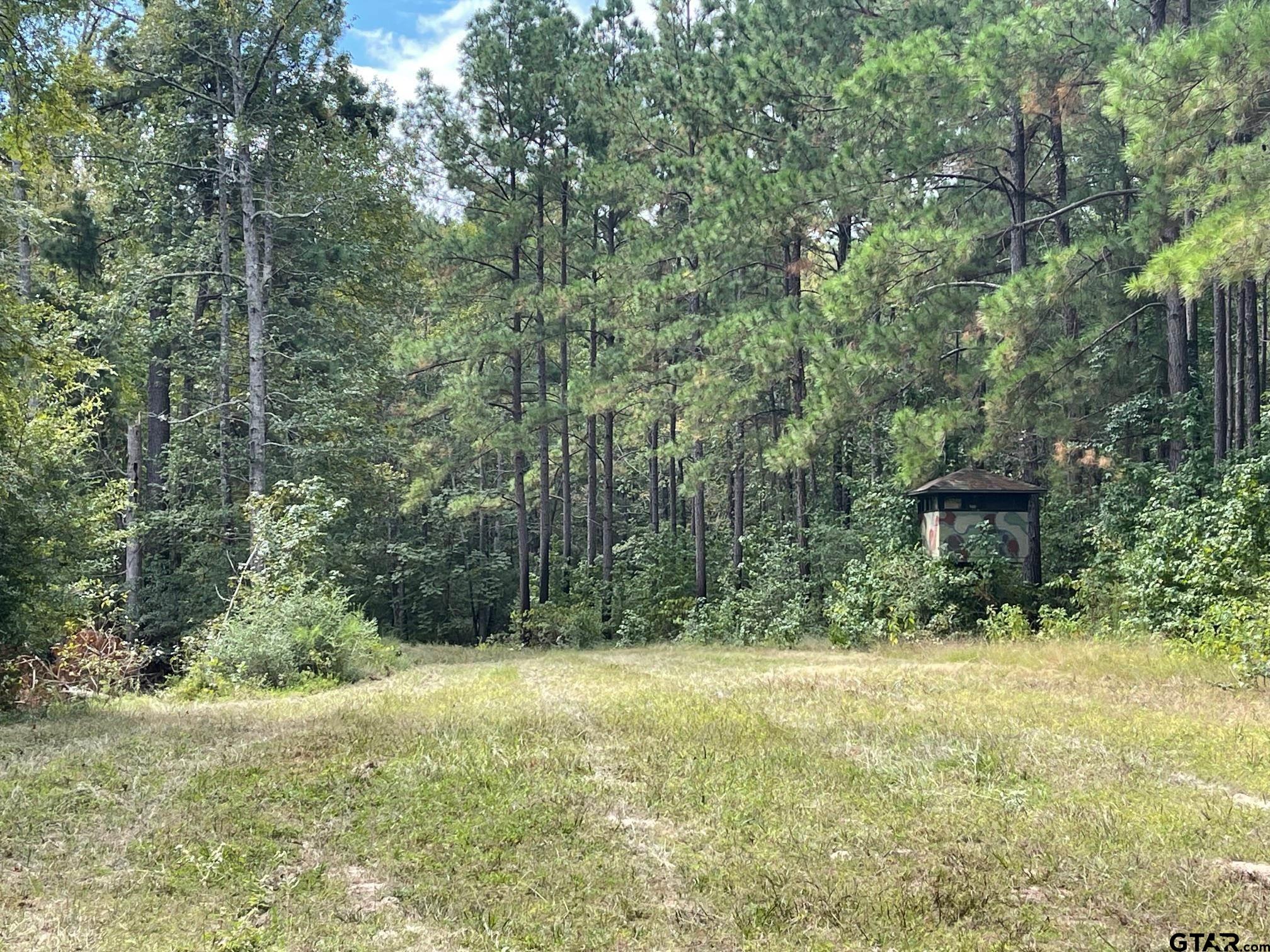 Tbd Cr 2125 Property Photo