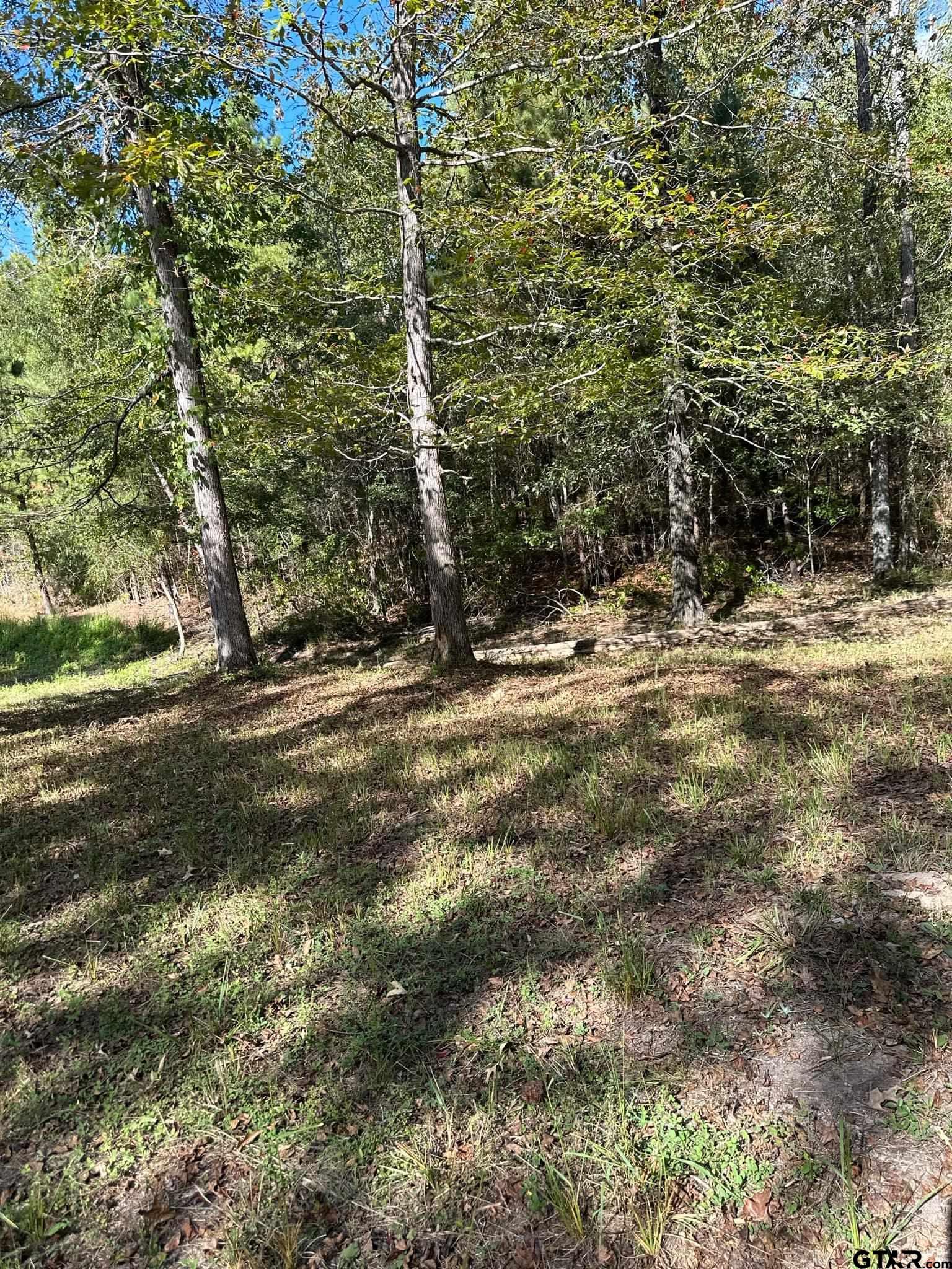 11420 C R 420 Property Photo 13