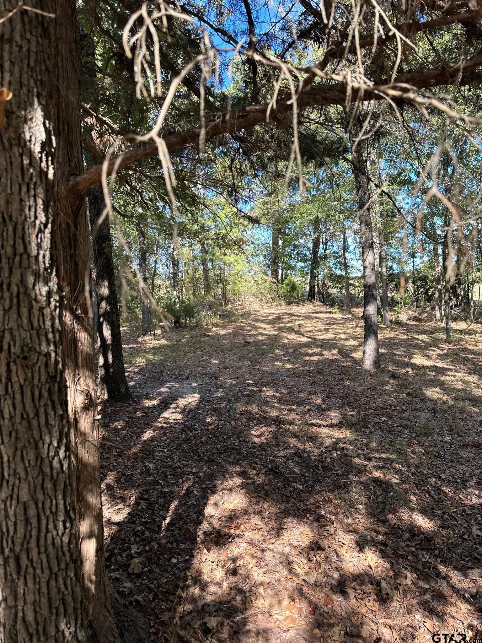 11420 C R 420 Property Photo 17