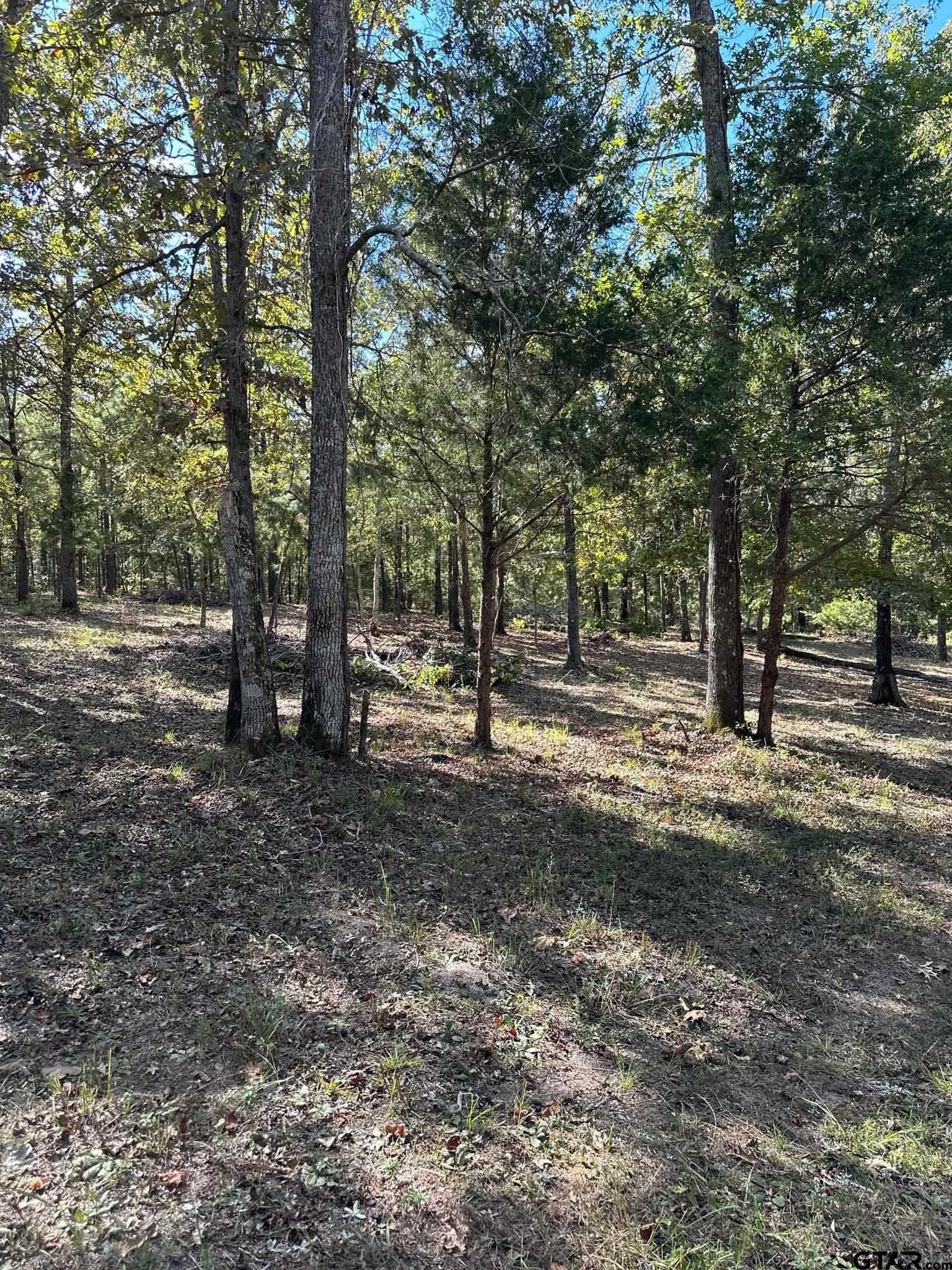 11420 C R 420 Property Photo 21