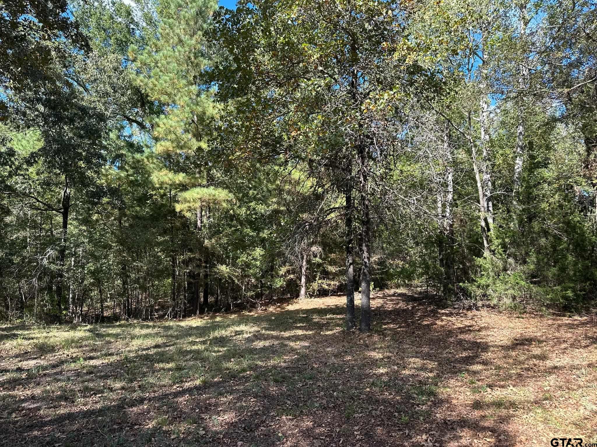 11420 C R 420 Property Photo 23