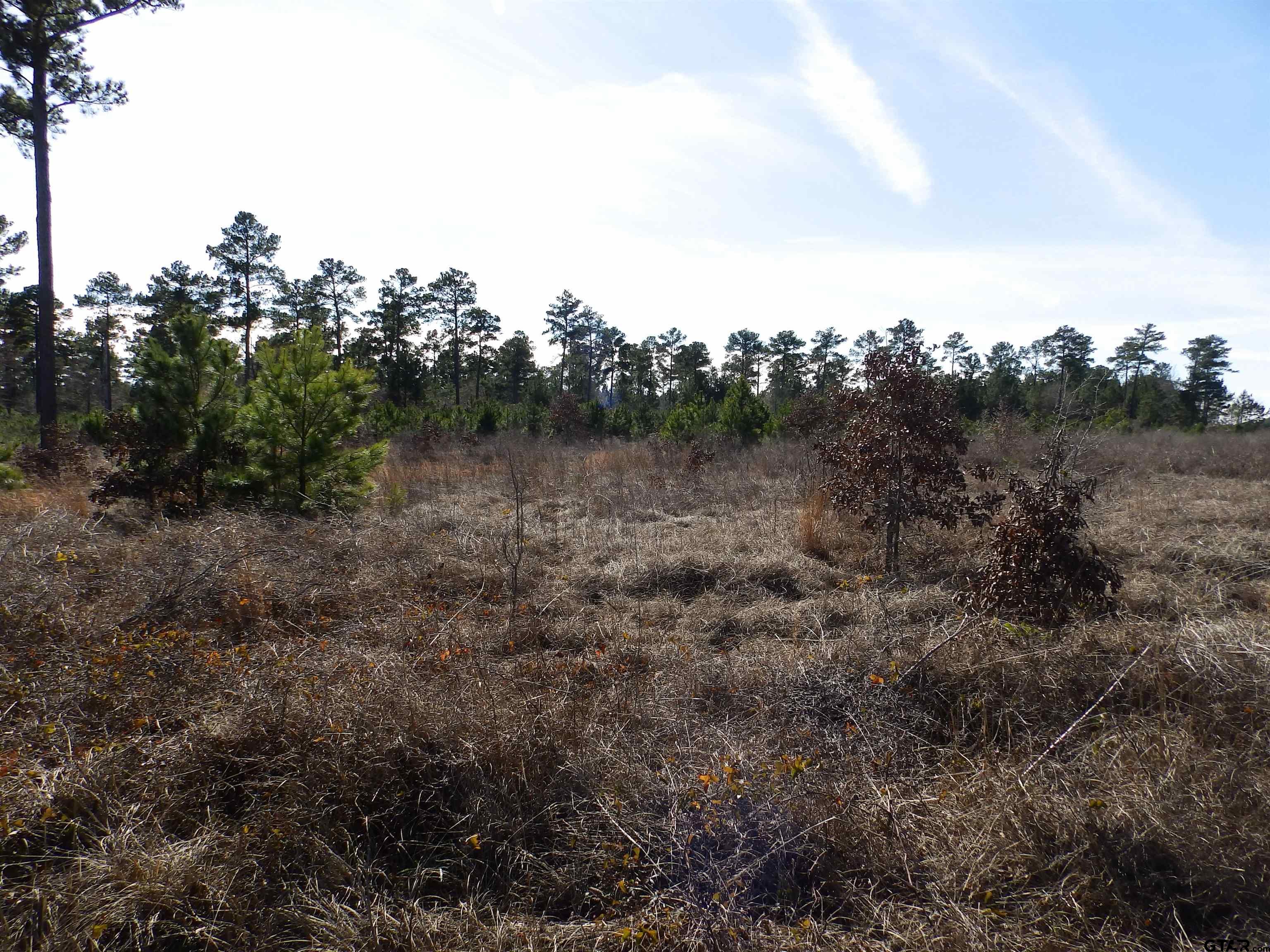 20175 S Hwy 155 Lot I Property Photo 28