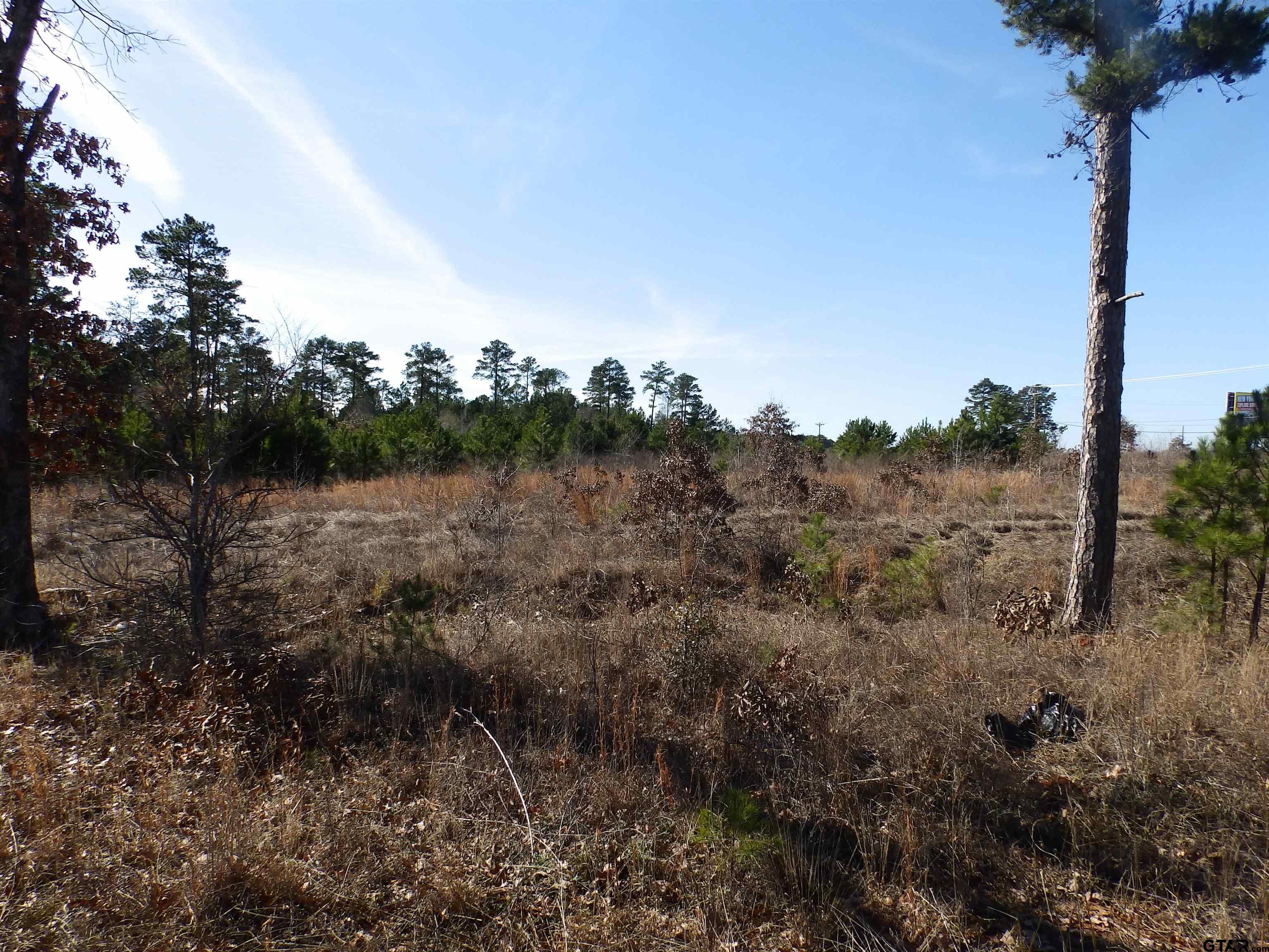 20175 S Hwy 155 Lot I Property Photo 29