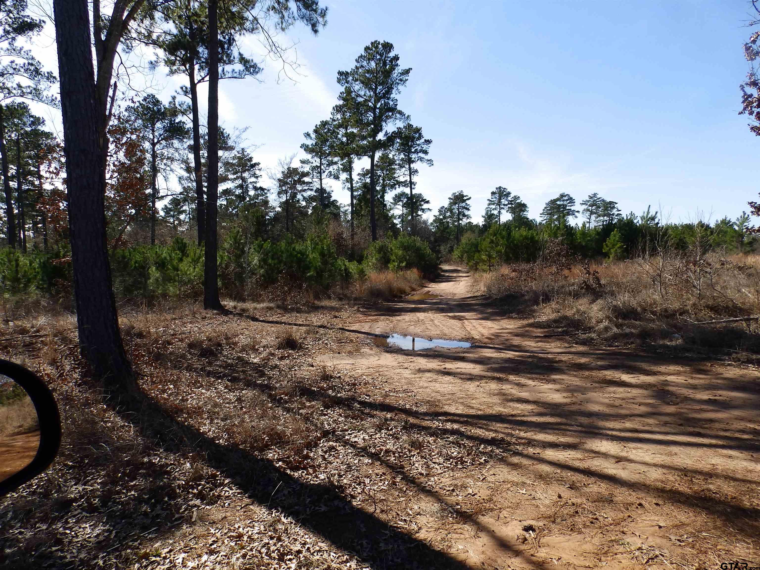 20175 S Hwy 155 Lot I Property Photo 31
