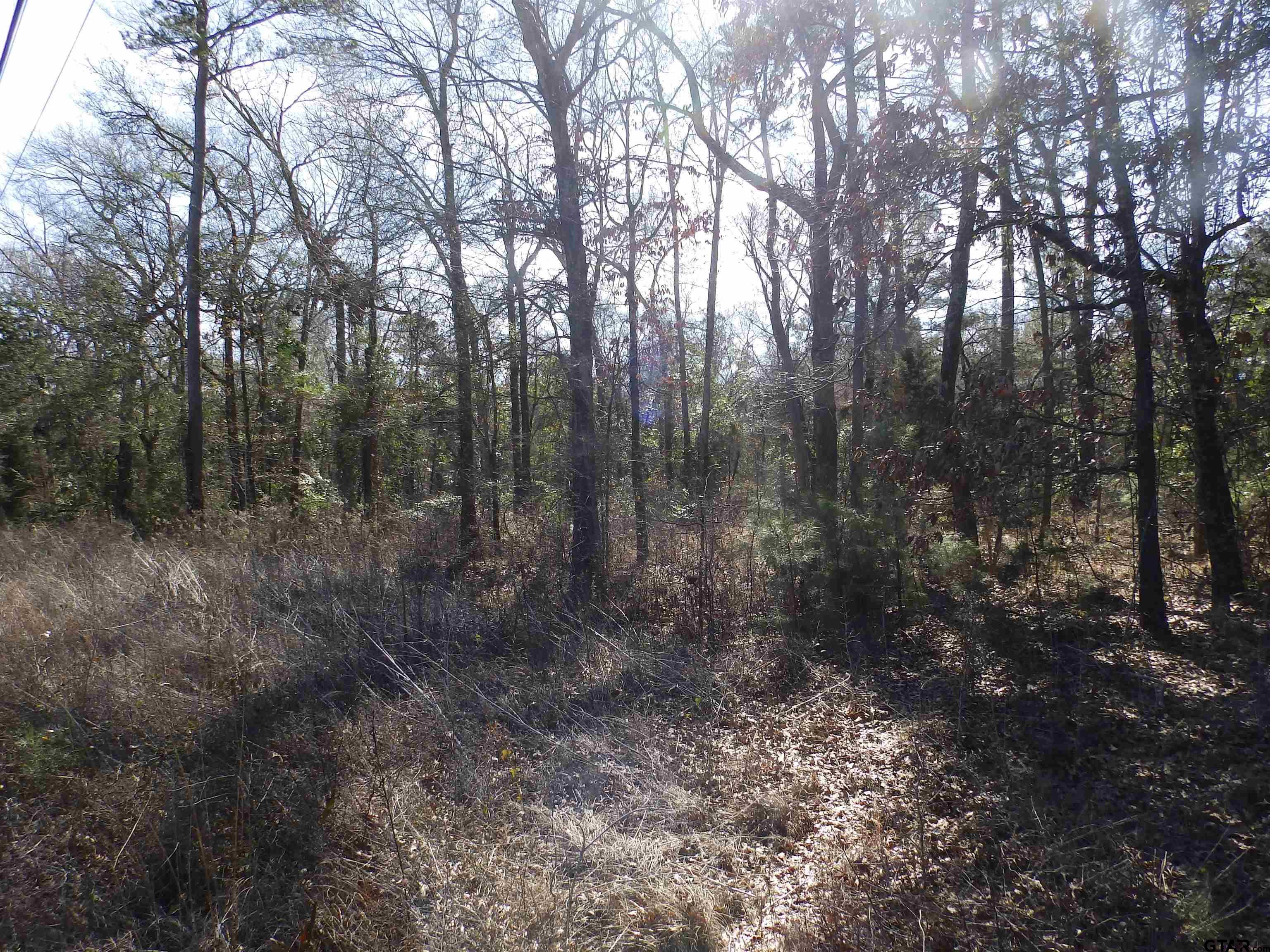 20175 S Hwy 155 Lot I Property Photo 35