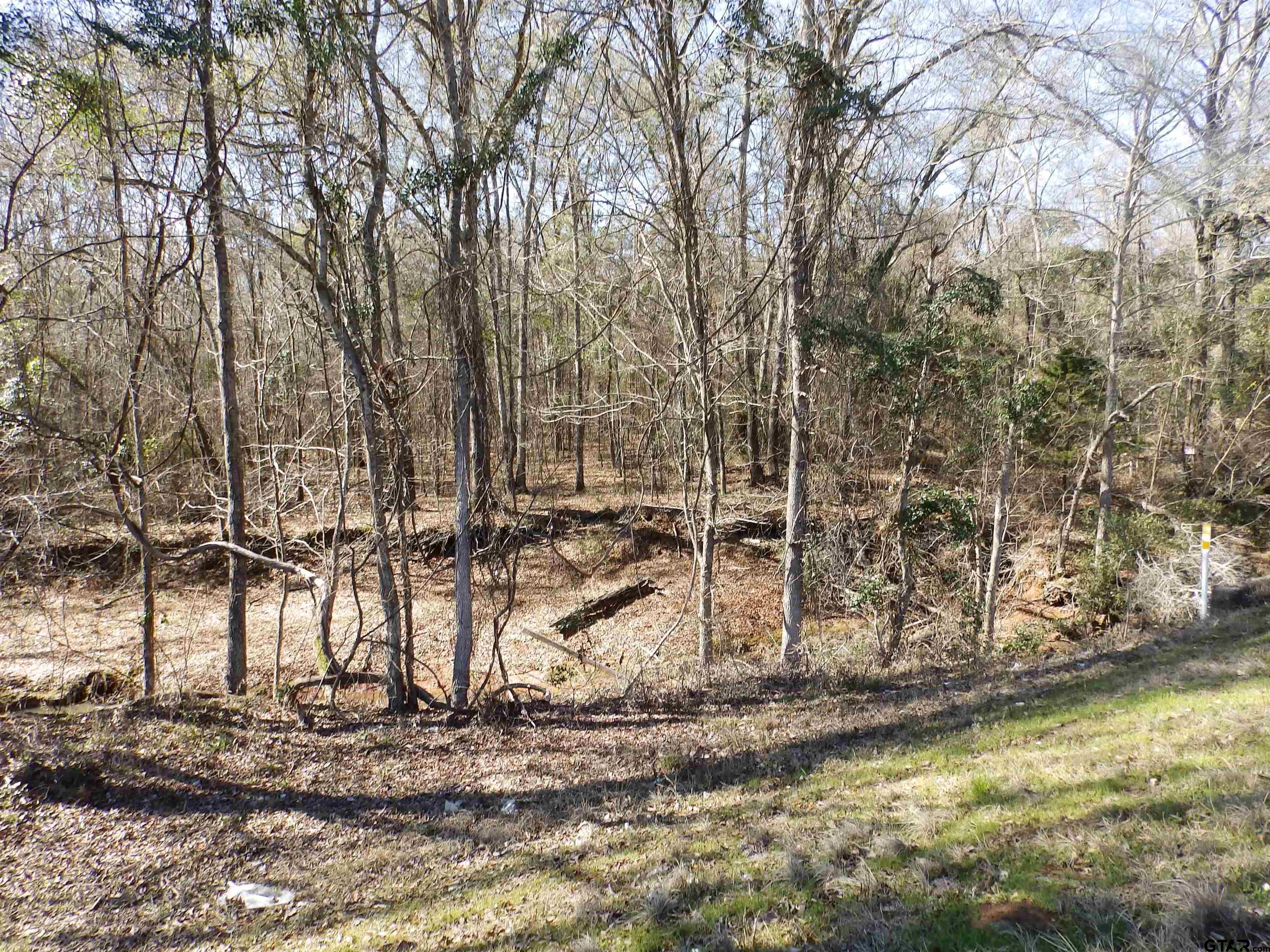 20175 S Hwy 155 Lot I Property Photo 37