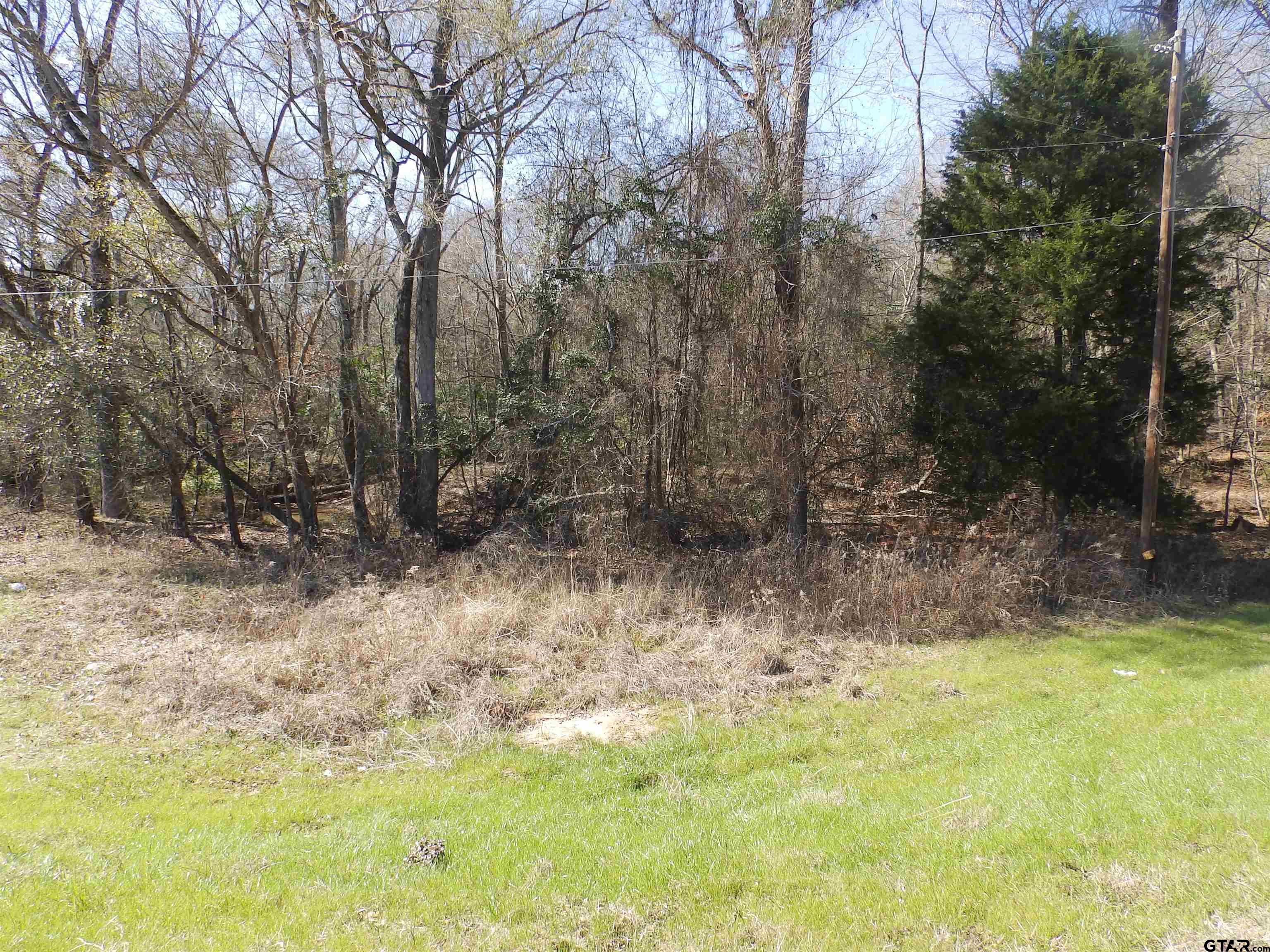 20175 S Hwy 155 Lot I Property Photo 38