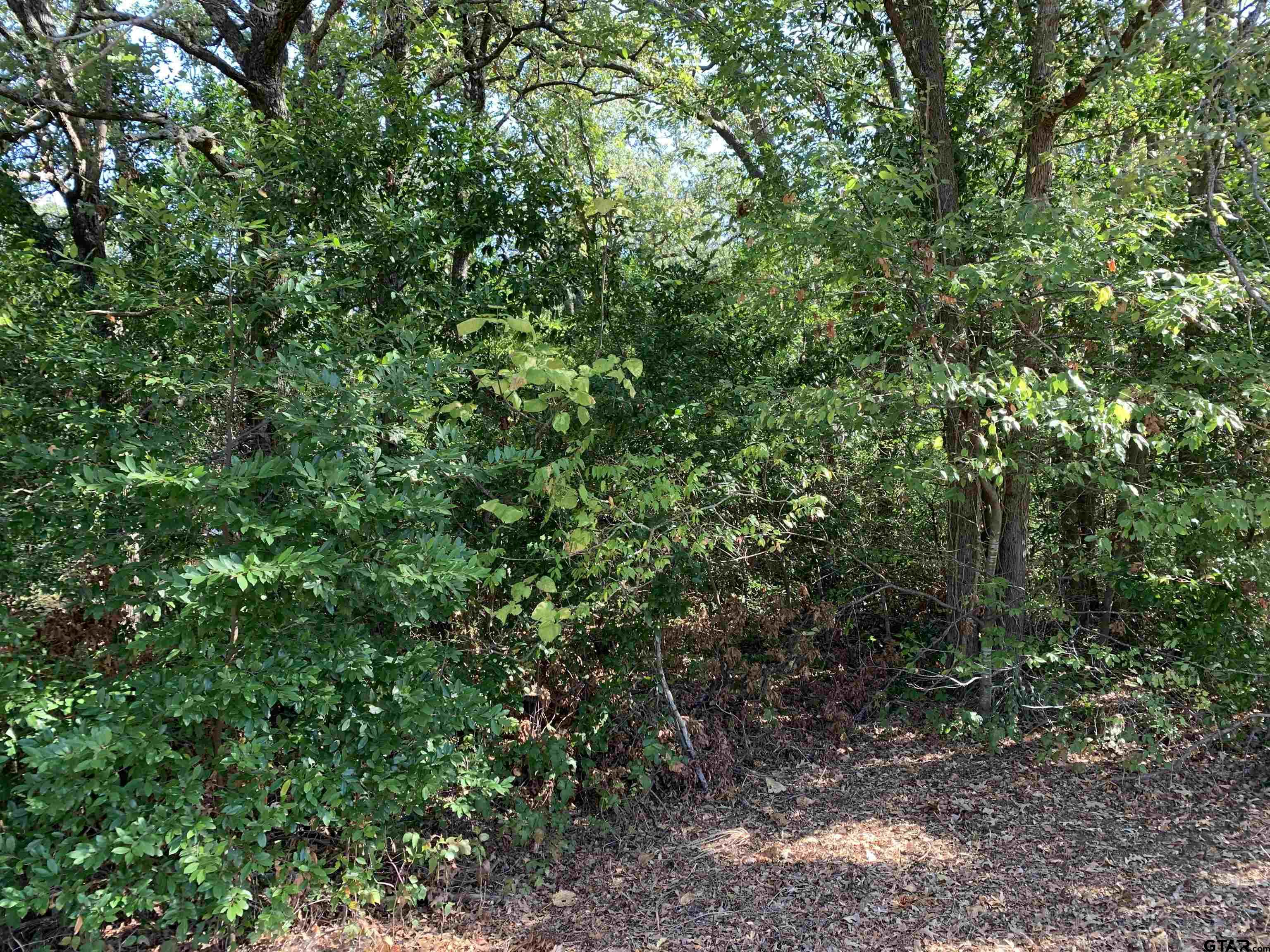 Tbd Hwy 31 E Property Photo 6