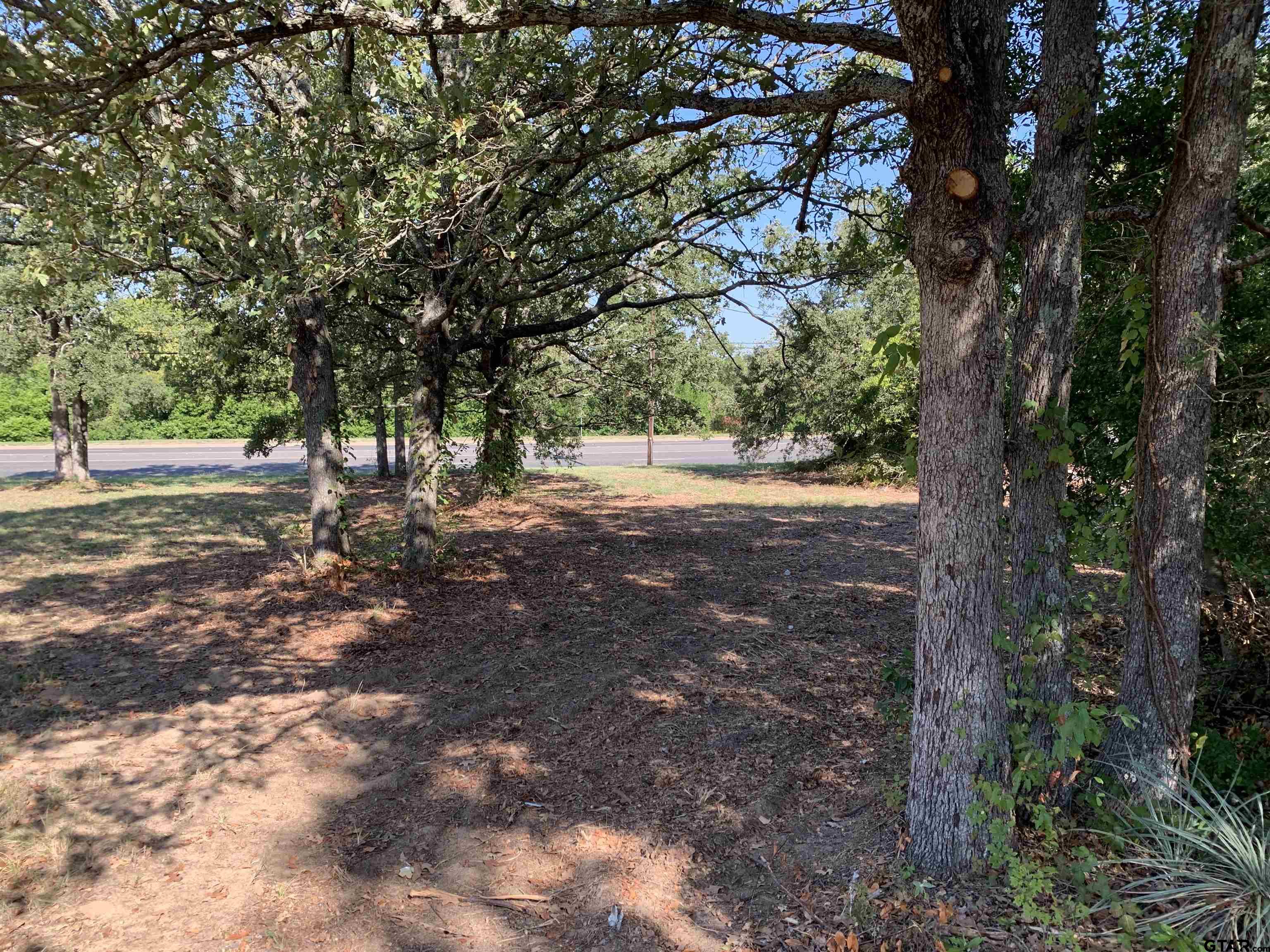 Tbd Hwy 31 E Property Photo 8