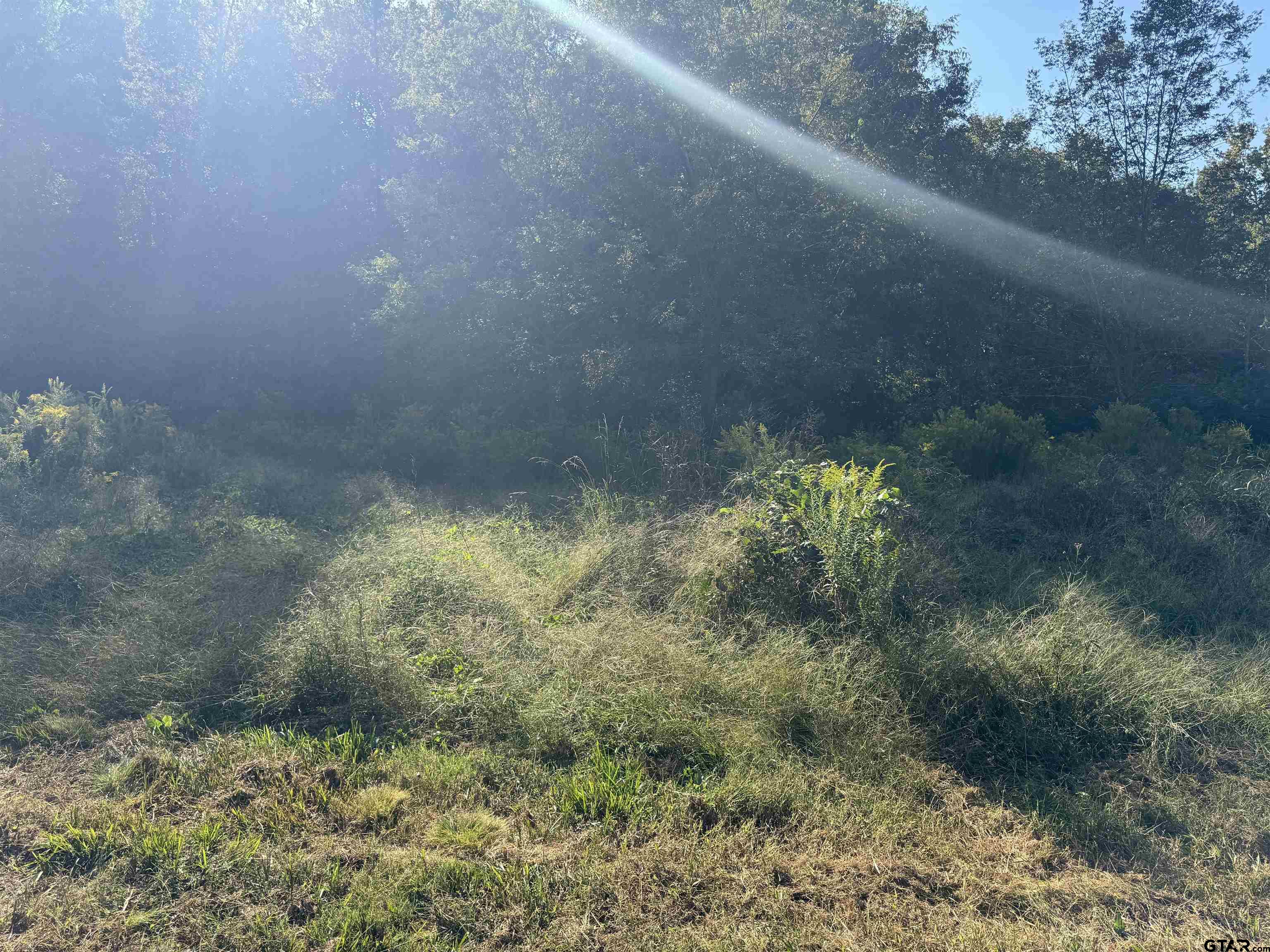 7079 Fm 241 S Property Photo