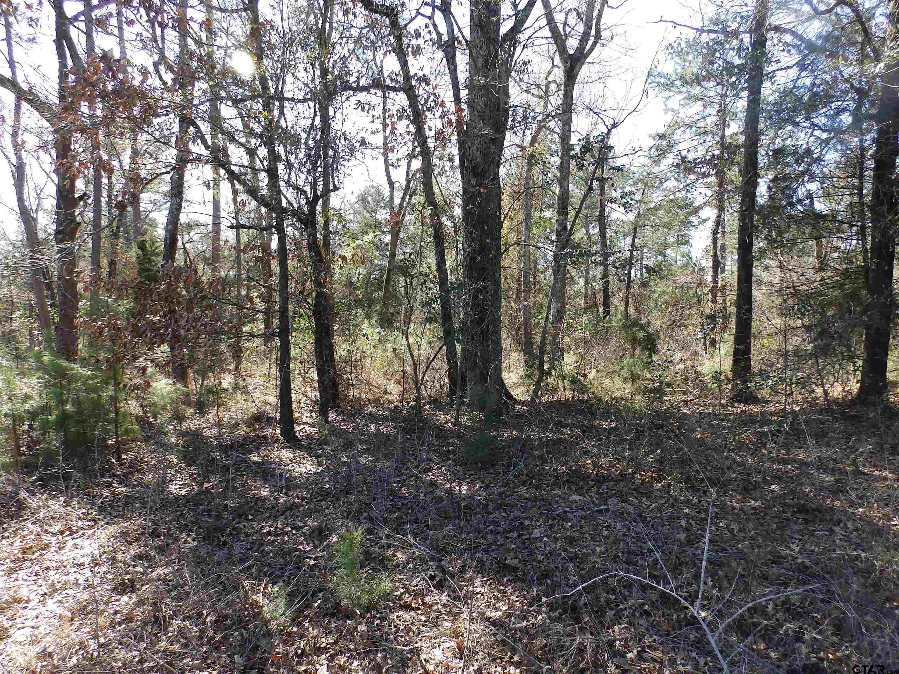 20175 S Hwy 155 Lot C1 Property Photo 33