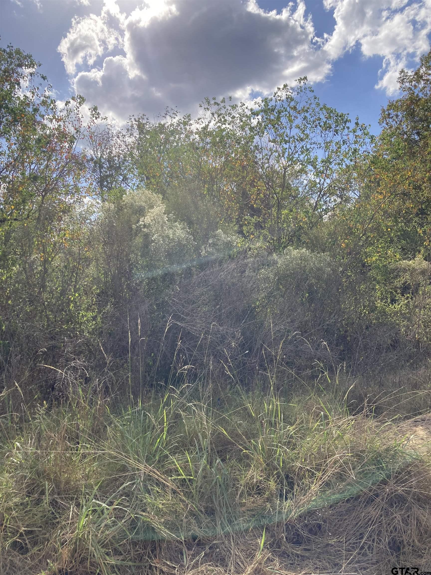 282 Fm 1818 Property Photo 2