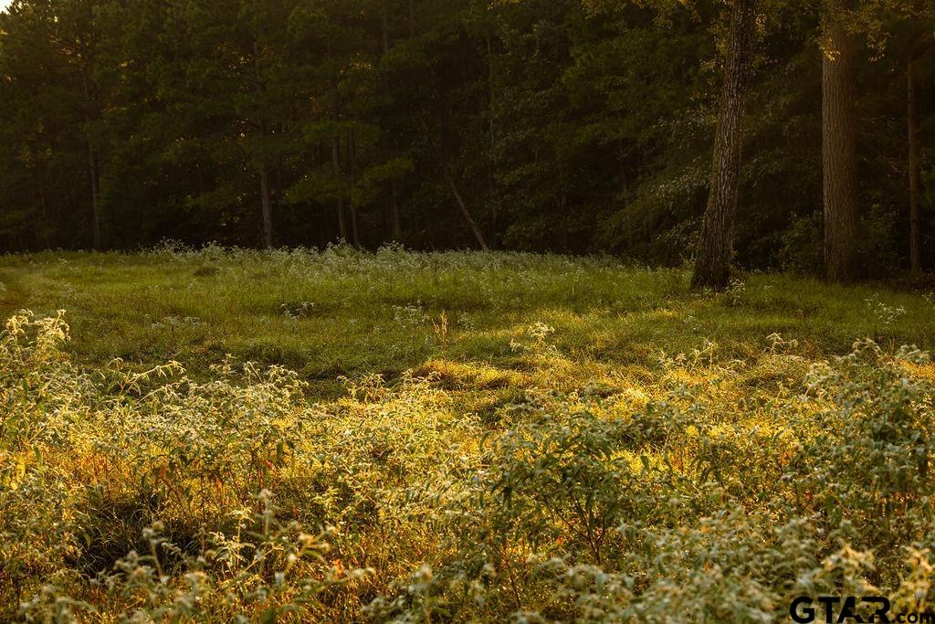 Lot 41 Fm 2015 Property Photo 1