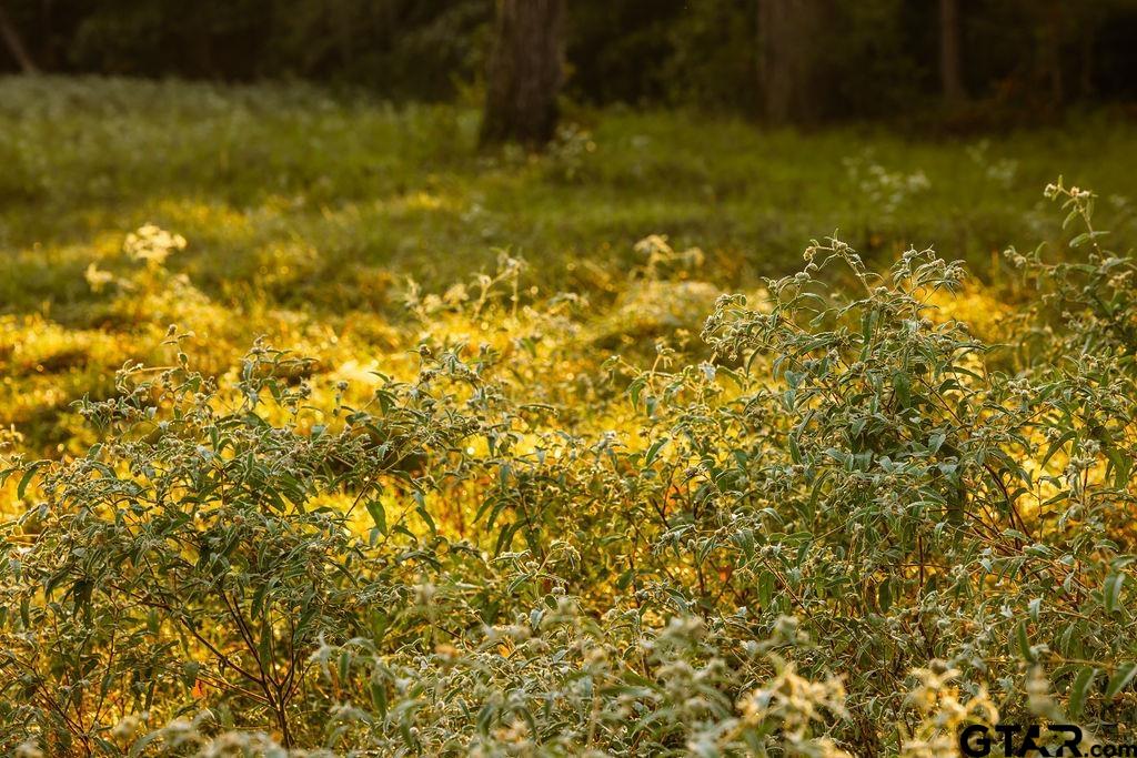 Lot 41 Fm 2015 Property Photo 2