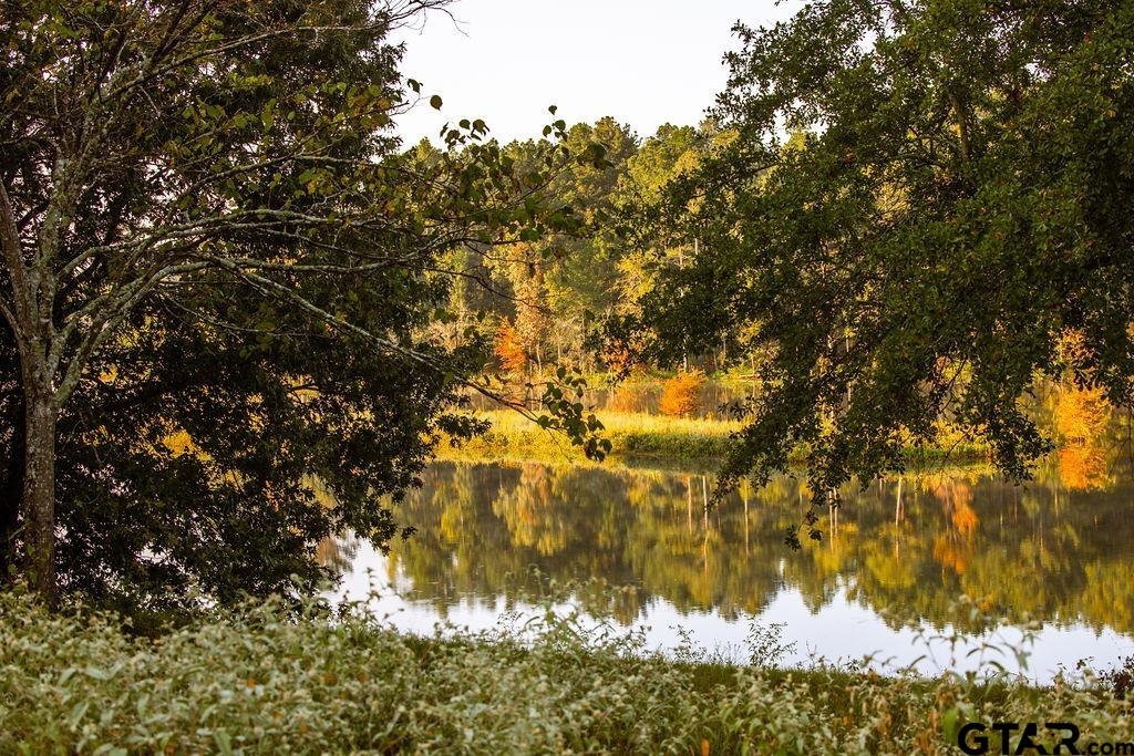 Lot 41 Fm 2015 Property Photo 3