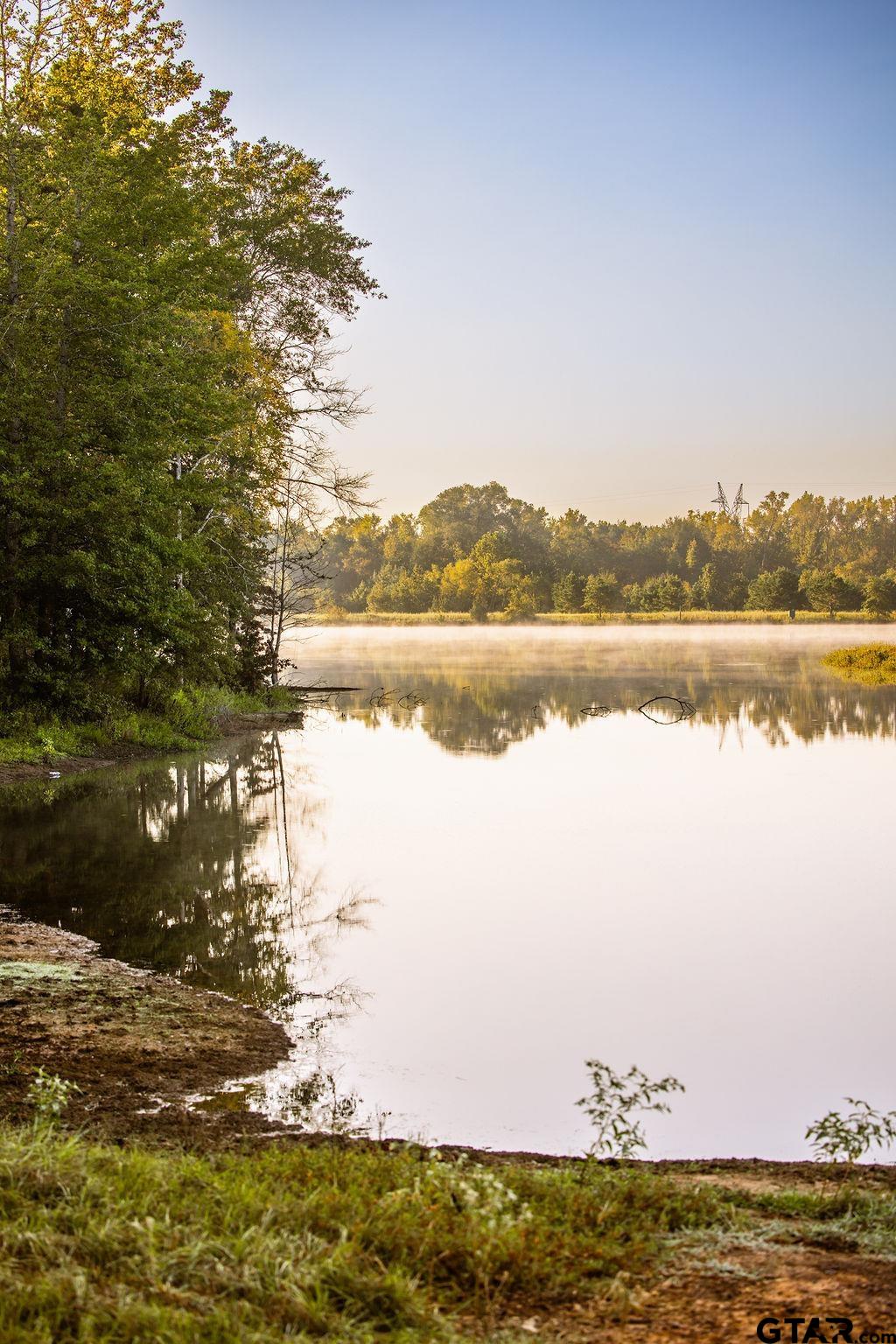 Lot 41 Fm 2015 Property Photo 4