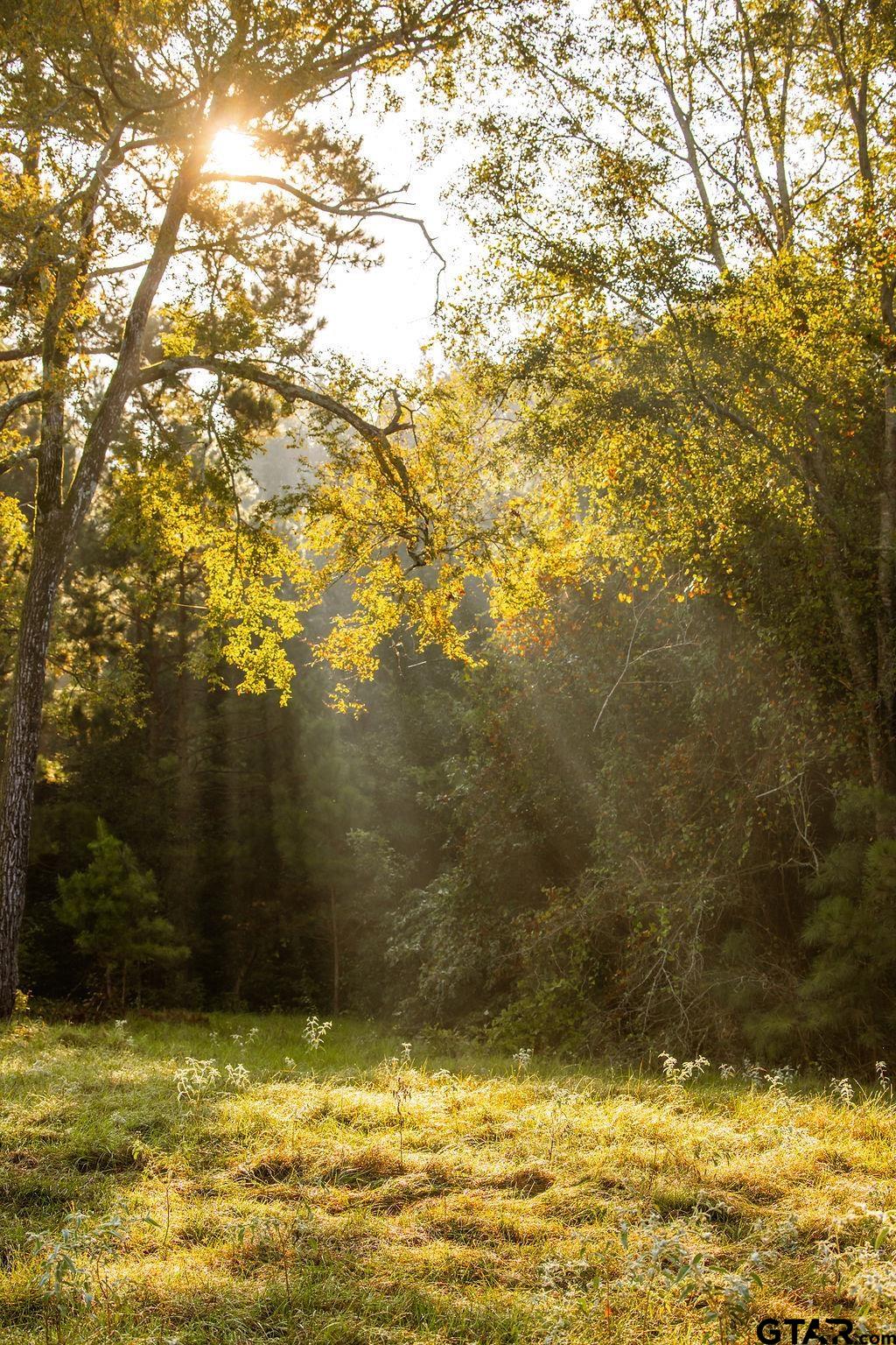 Lot 41 Fm 2015 Property Photo 5