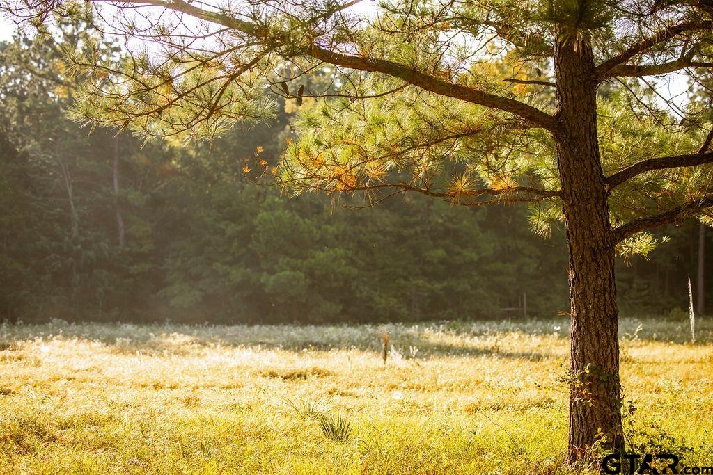 Lot 41 Fm 2015 Property Photo 7