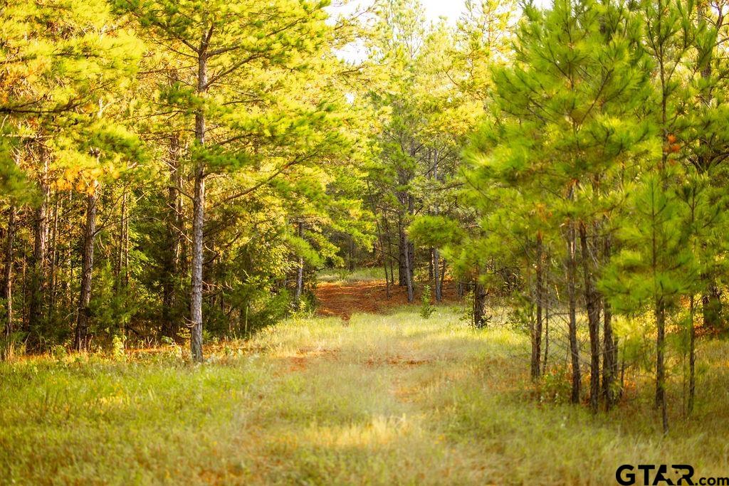 Lot 41 Fm 2015 Property Photo 8