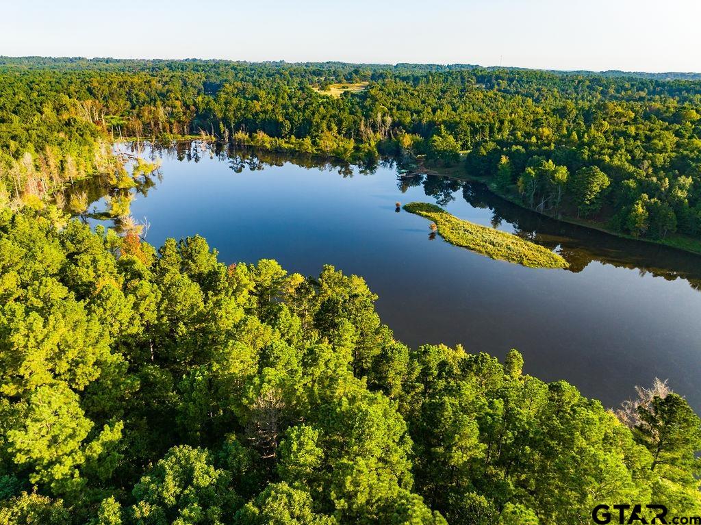 Lot 41 Fm 2015 Property Photo 11