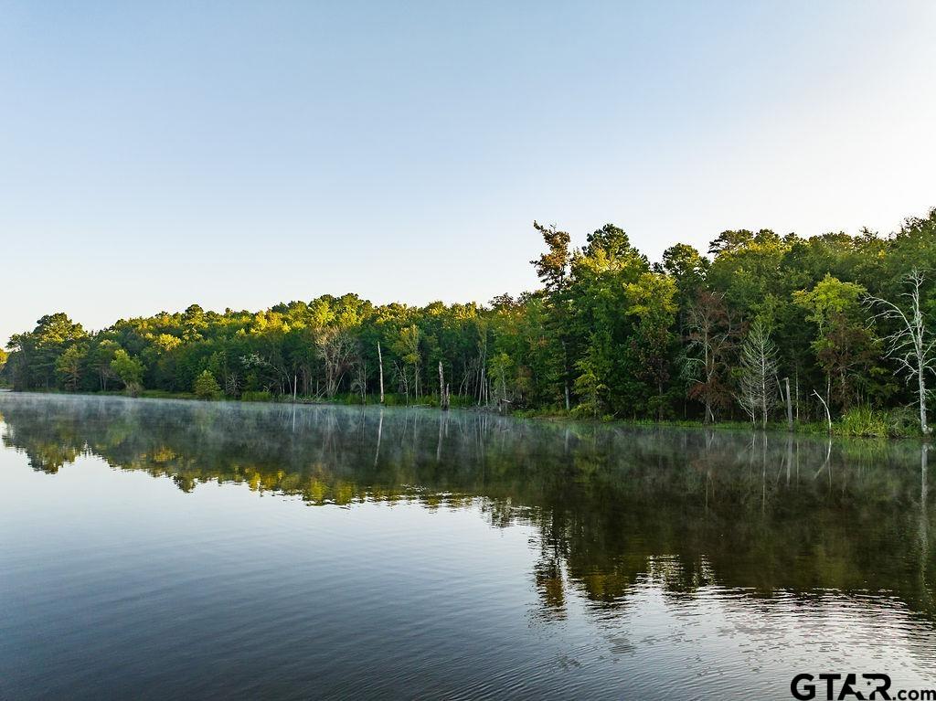 Lot 41 Fm 2015 Property Photo 13