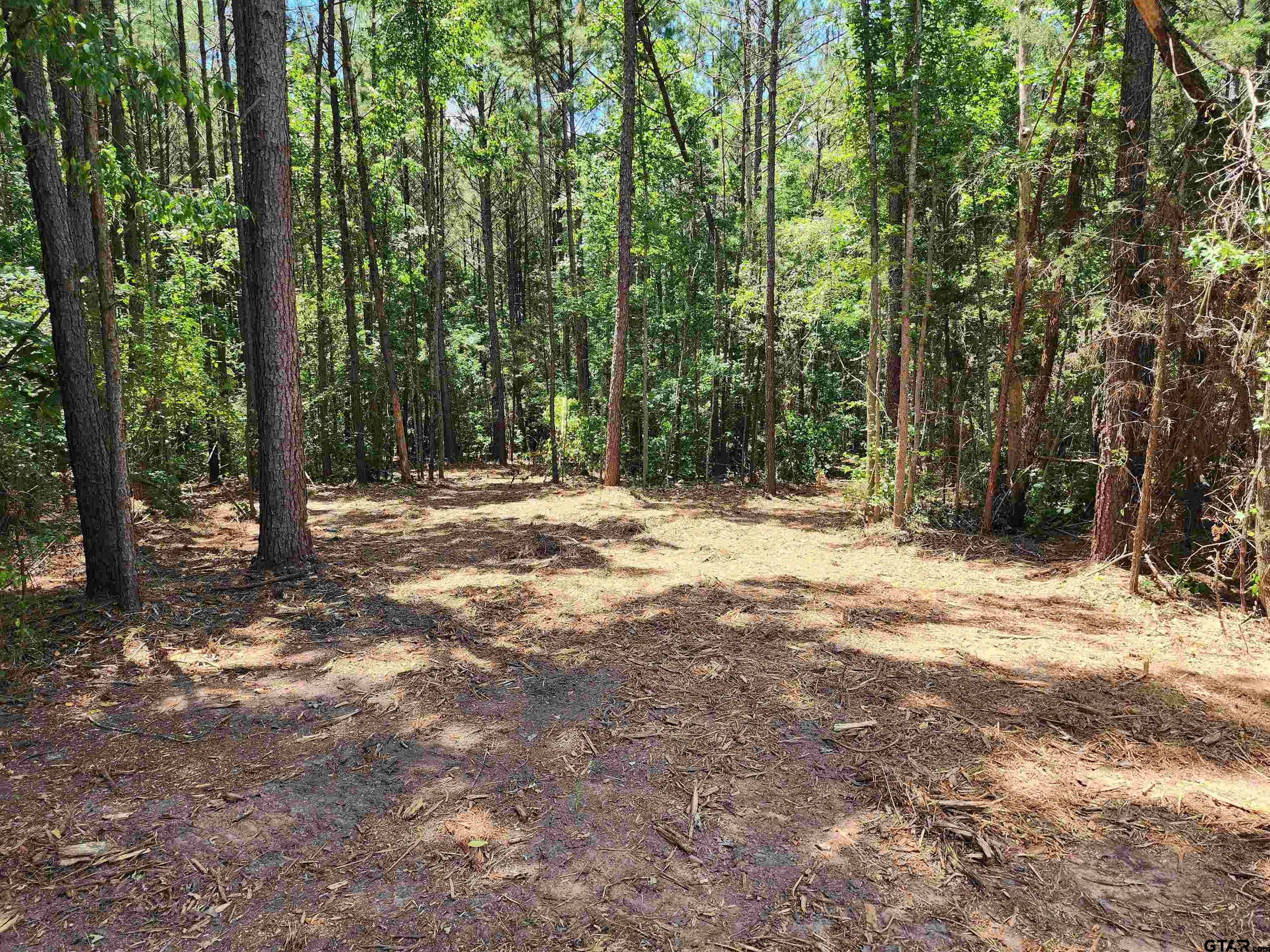 Tbd Cr 4114 20.00 Acres Property Photo