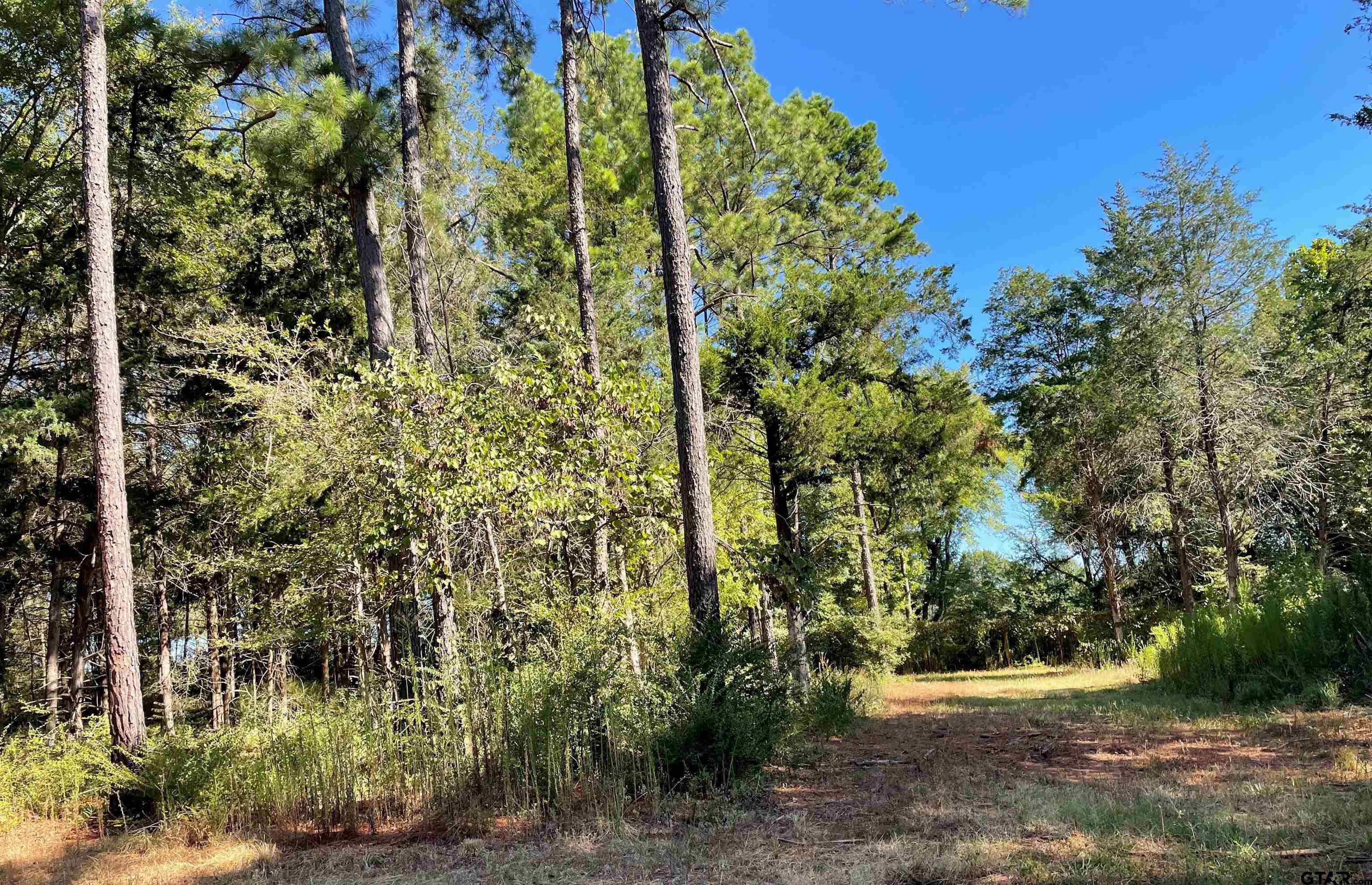 Tbd Sh 21 East Property Photo
