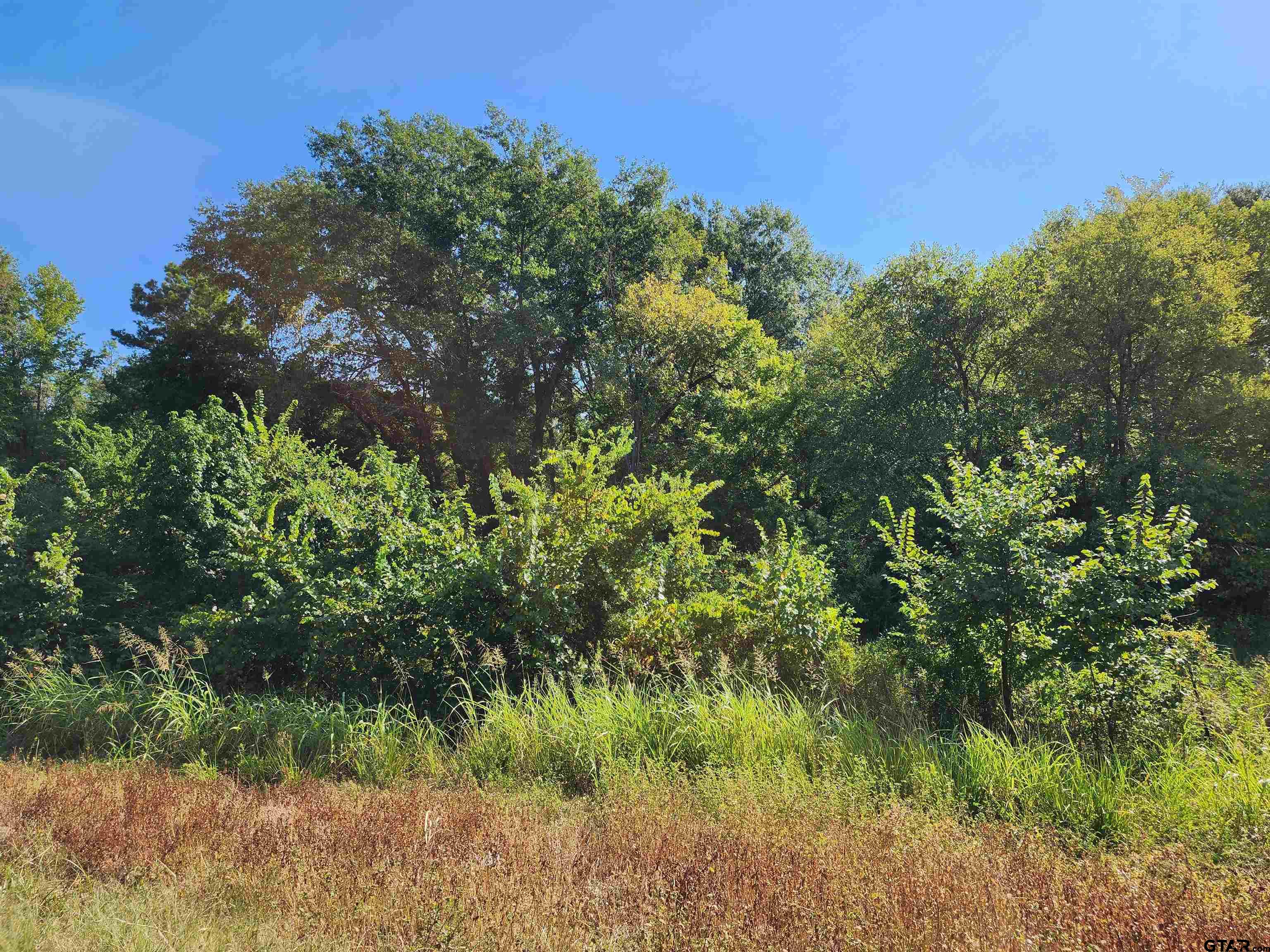 Tbd Hwy 110 N Property Photo 3