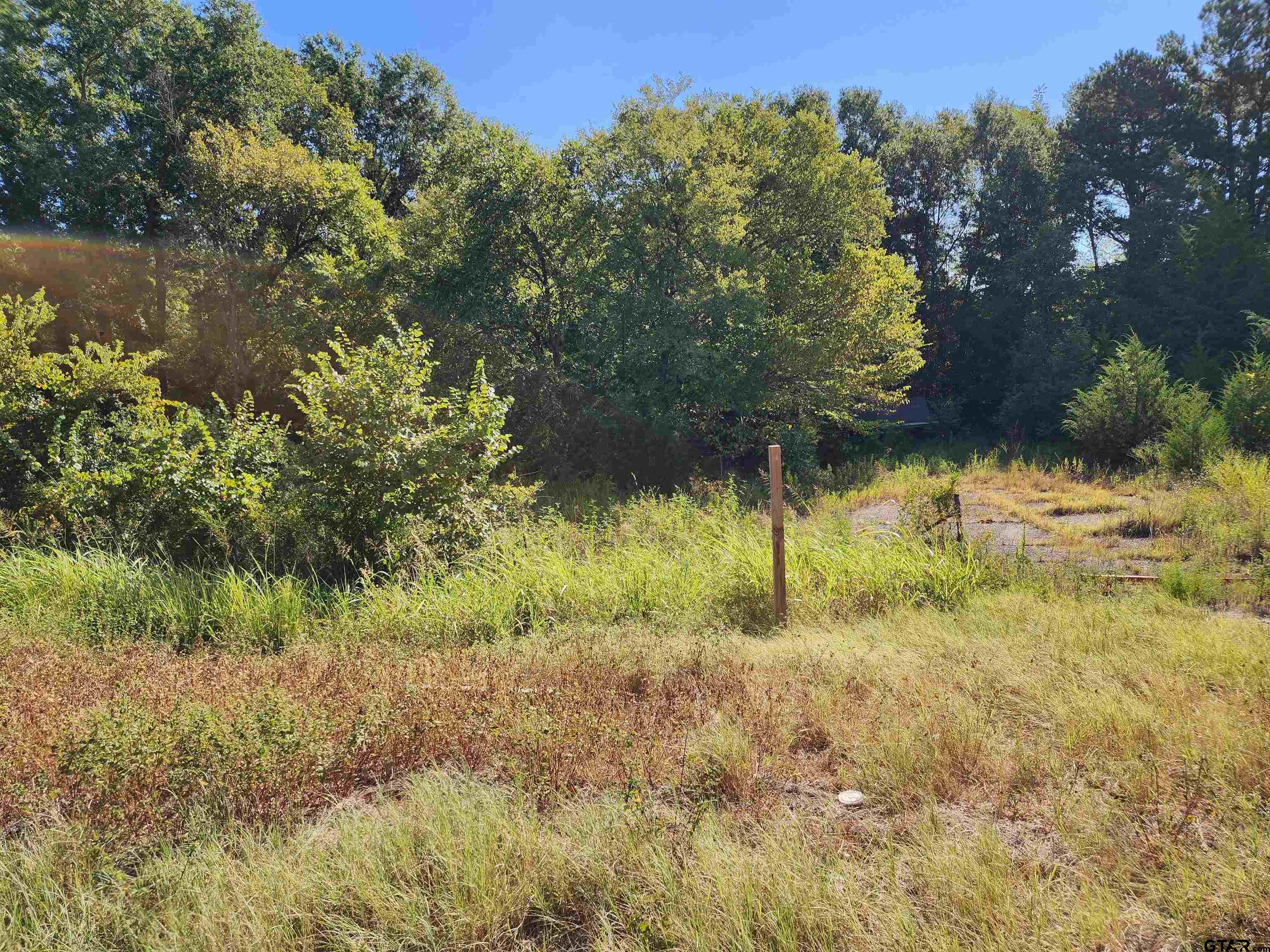 Tbd Hwy 110 N Property Photo 4