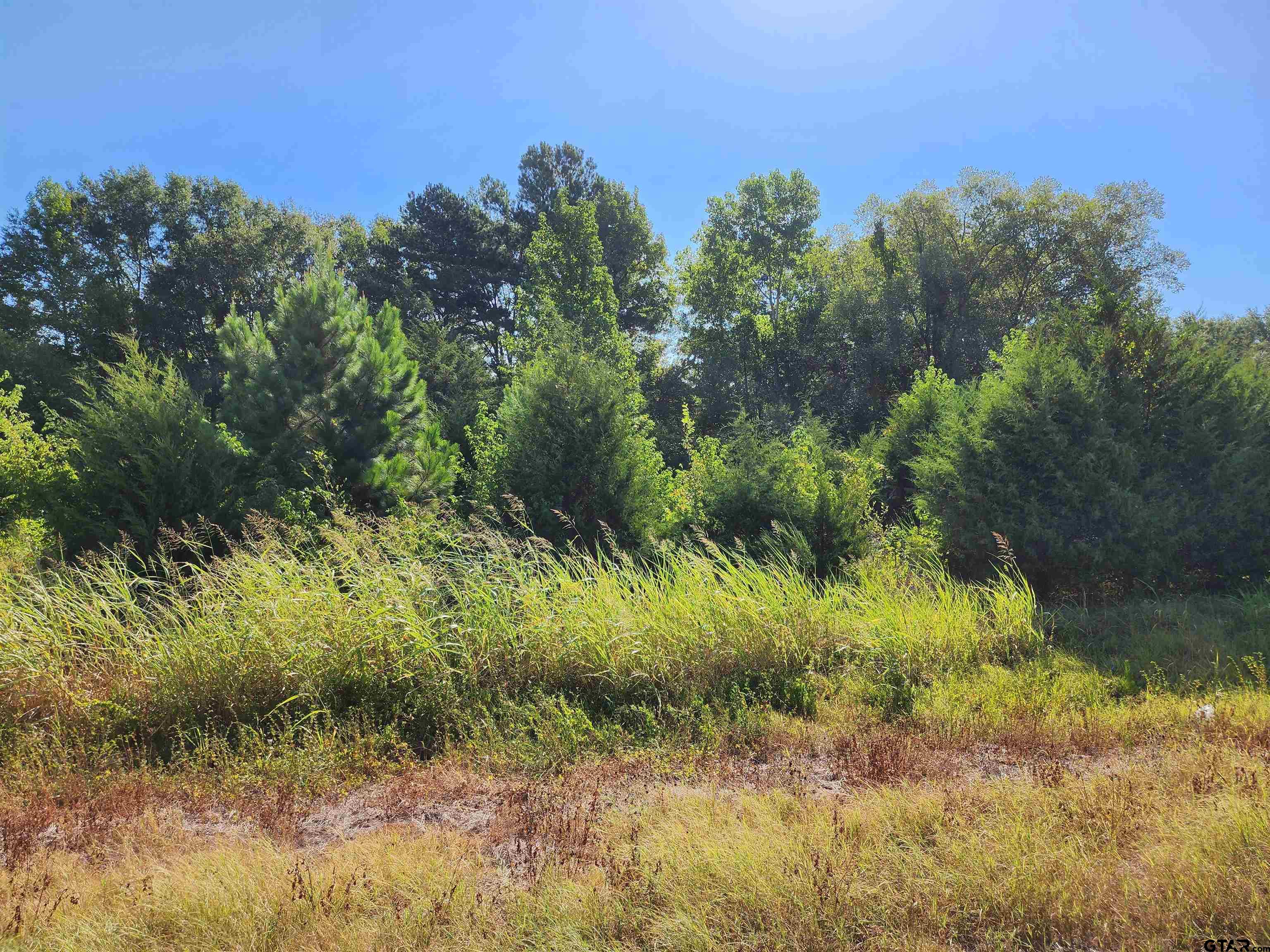 Tbd Hwy 110 N Property Photo 8