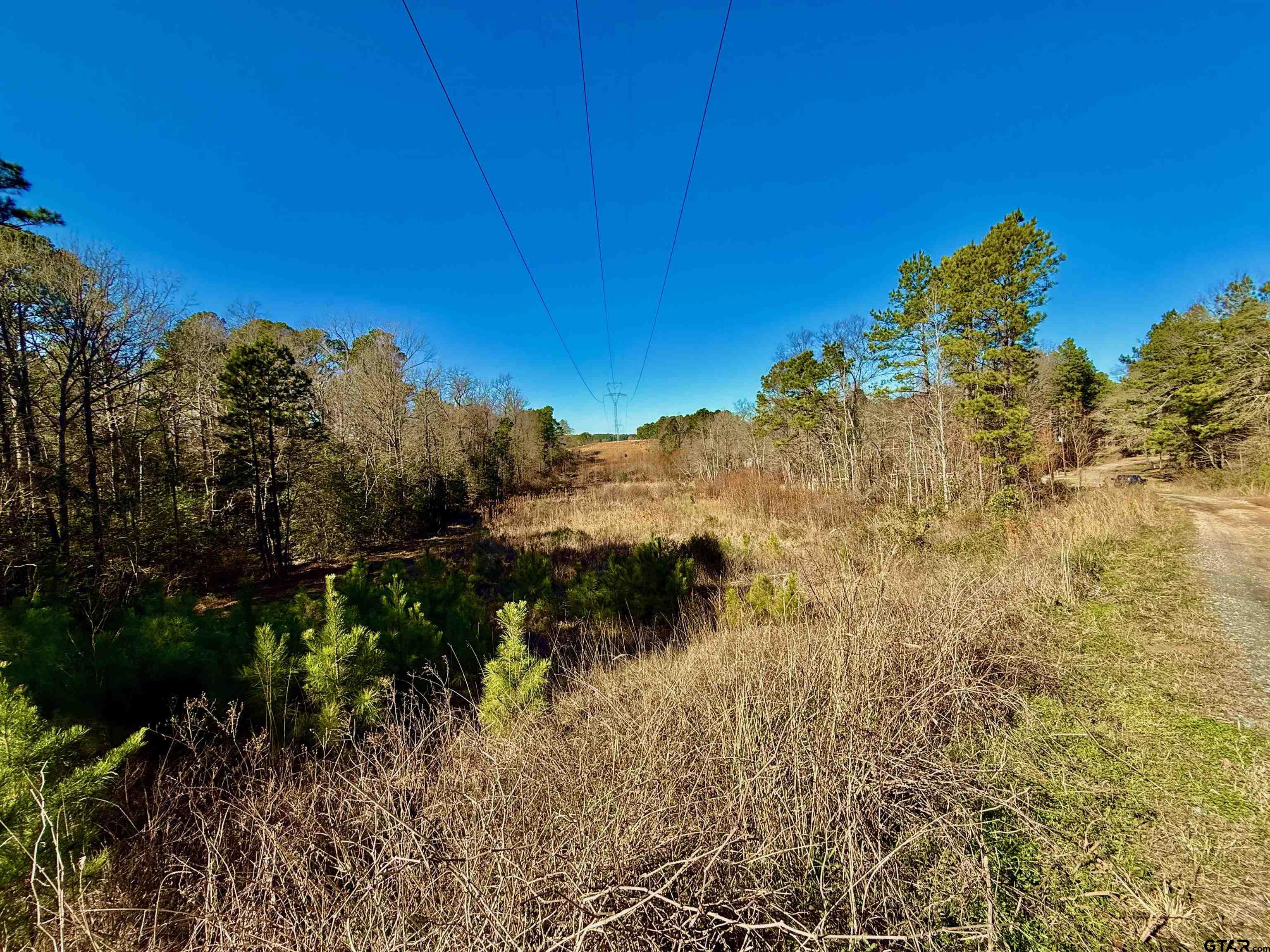 Lot 16 Chestnut Drive Property Photo