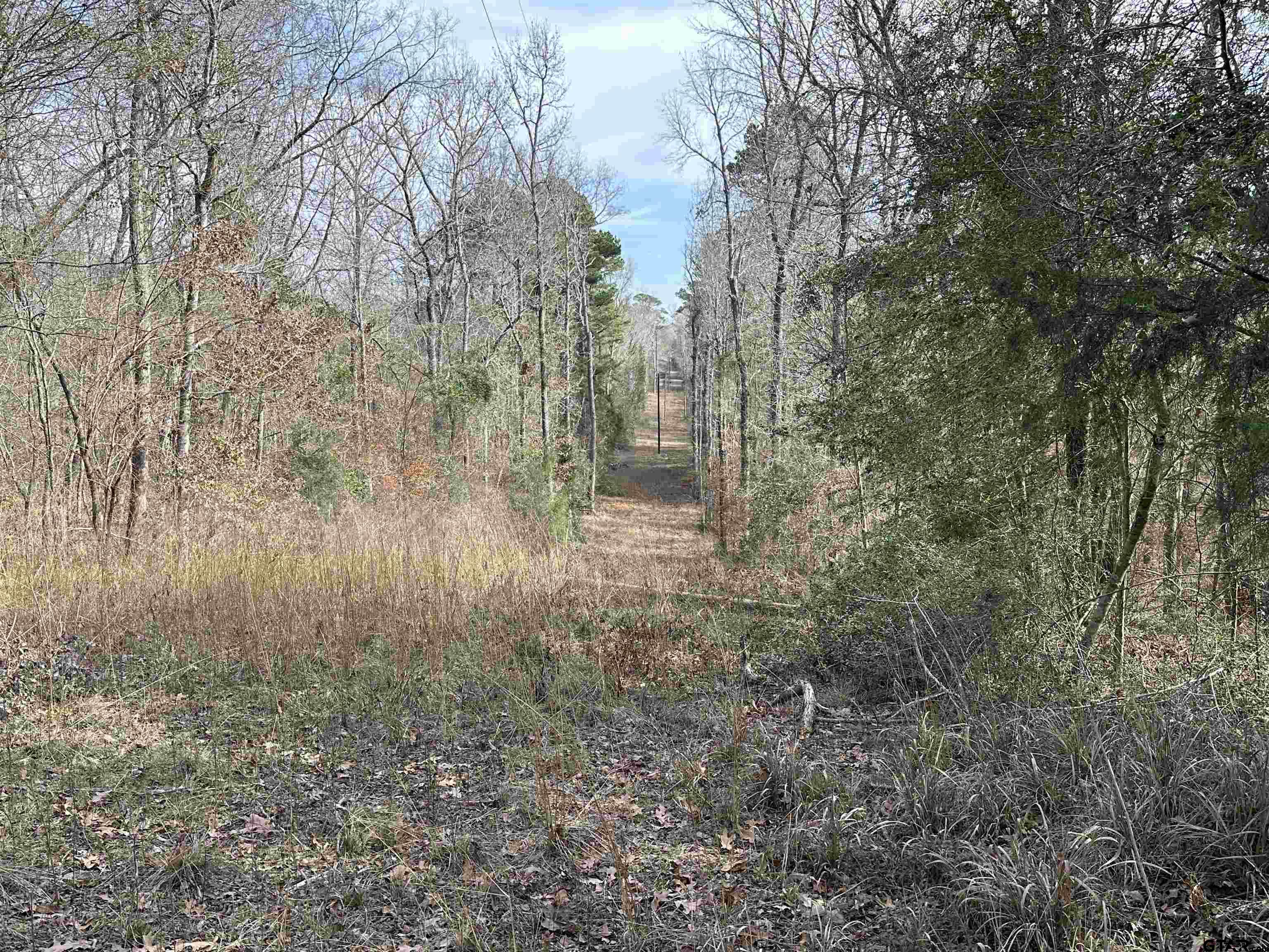 Tbd Cr 2439 Property Photo