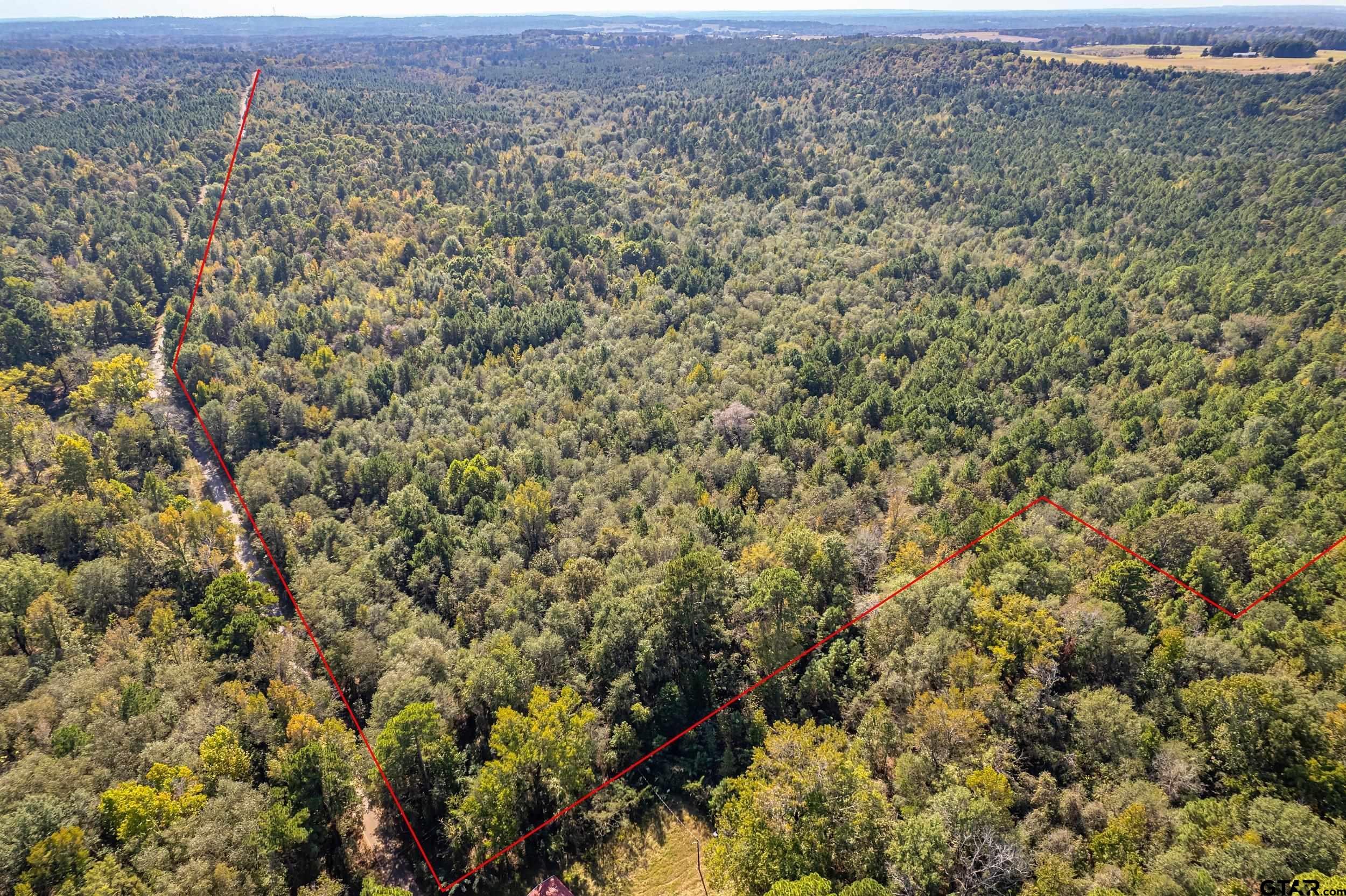 00 County Rd 359 Property Photo 1