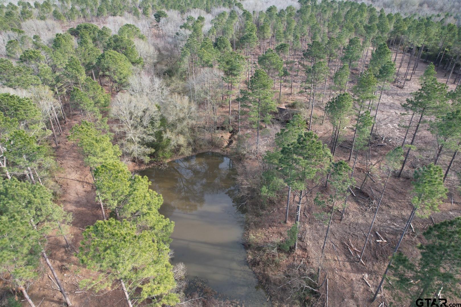 Tract A County Road 4037 Property Photo 1